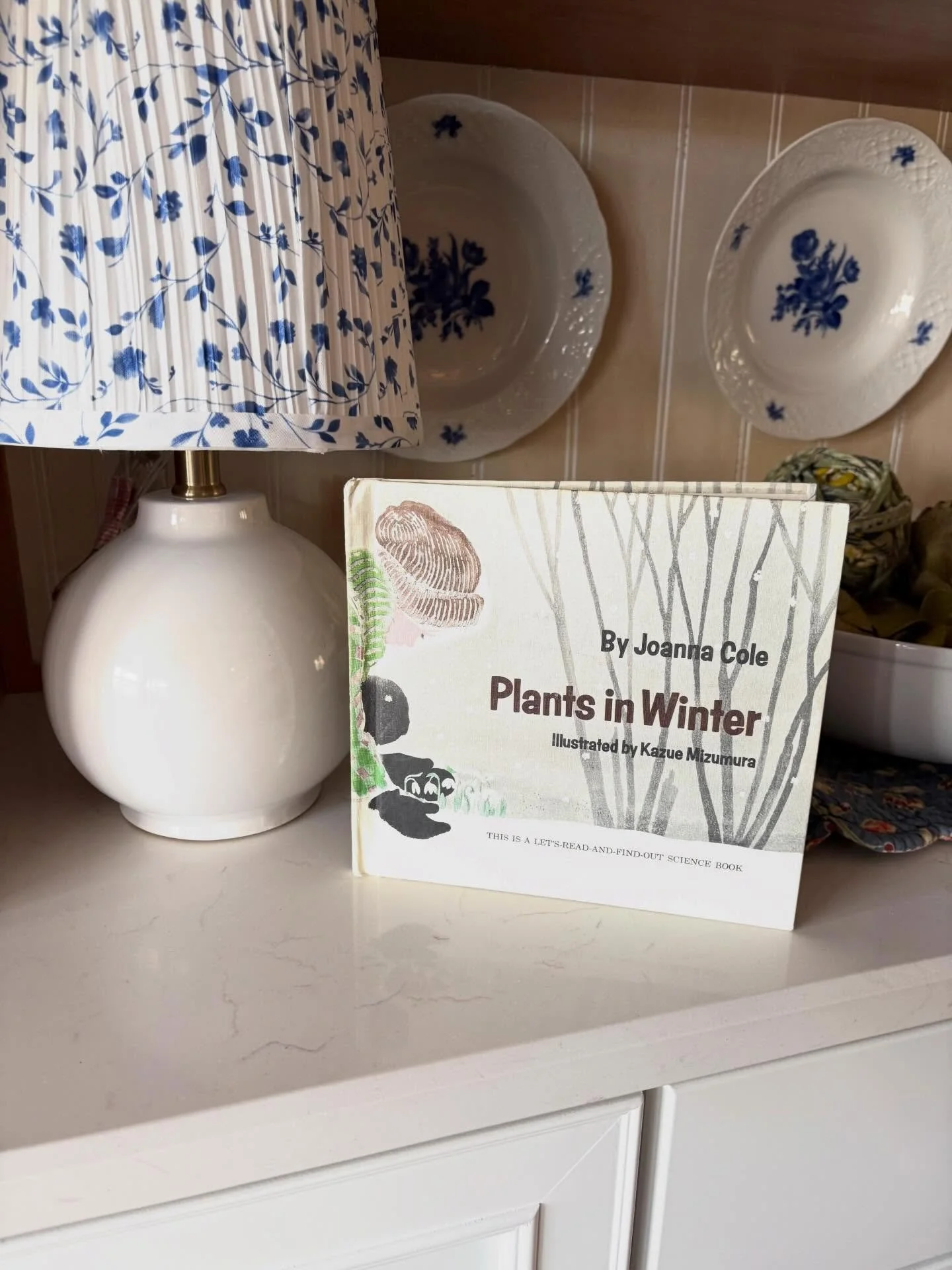 CLAIMED!

Let&rsquo;s-Read-And-Find-Out &ldquo;Plants in Winter&rdquo; by Joanna Cole, 1973

Part of the well-loved vintage children&rsquo;s science series.

This book shares &ldquo;a simple explanation of what happens to various plants in winter.&rd