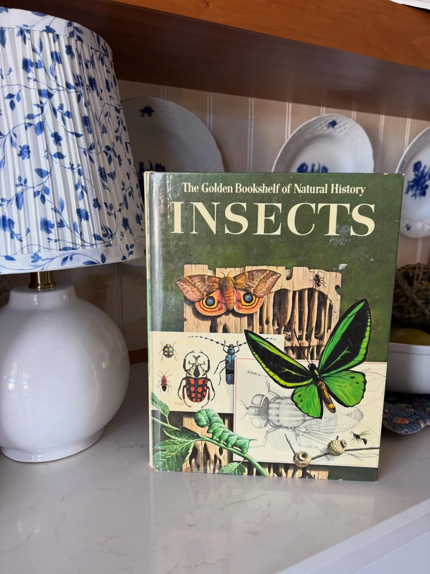 &ldquo;The Golden Bookshelf of Natural History: Insects&rdquo; by Richard M. Baranowski, Ph.D., 1964

&ldquo;Volume III of The Bookshelf of Natural History provides a splendid introduction to the most abundant group of animals - insects. The authorit
