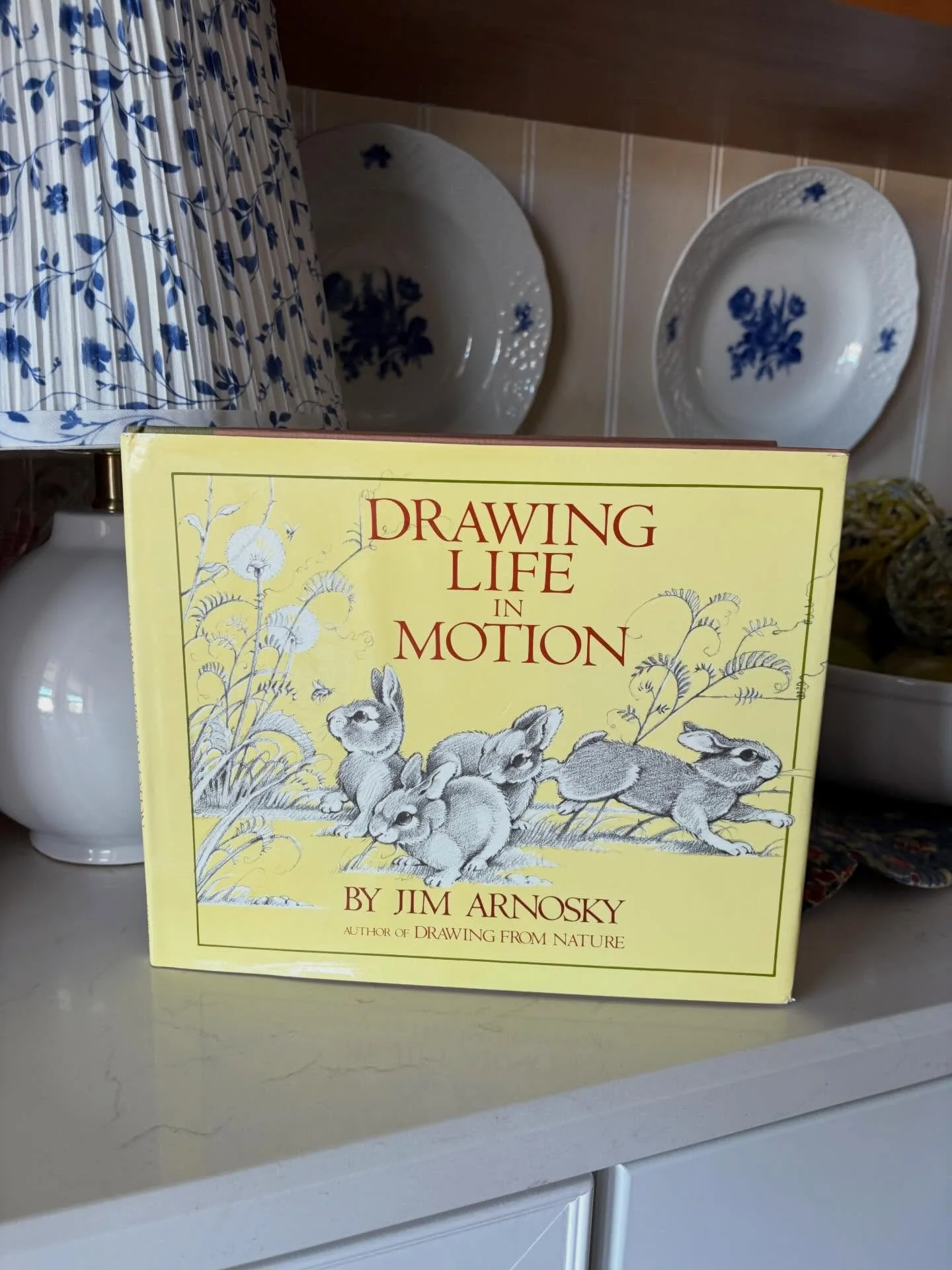 &ldquo;Drawing Life in Motion&rdquo; by Jim Arnosky, 1984

&ldquo;With remarkable clarity and grace, naturalist and artist Jim Arnosky has crafted a visual exploration that begins with the slow, subtle movements of plants, and builds, through lyrical