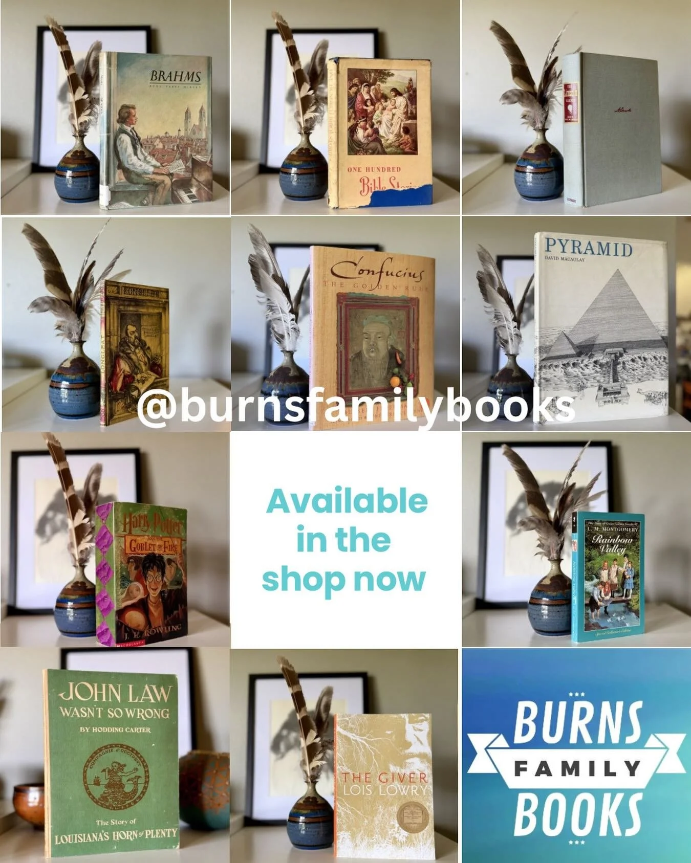 **Shop Share!**

I just love Sara&rsquo;s shop over at @burnsfamilybooks ! She always has wonderful collections to choose from!