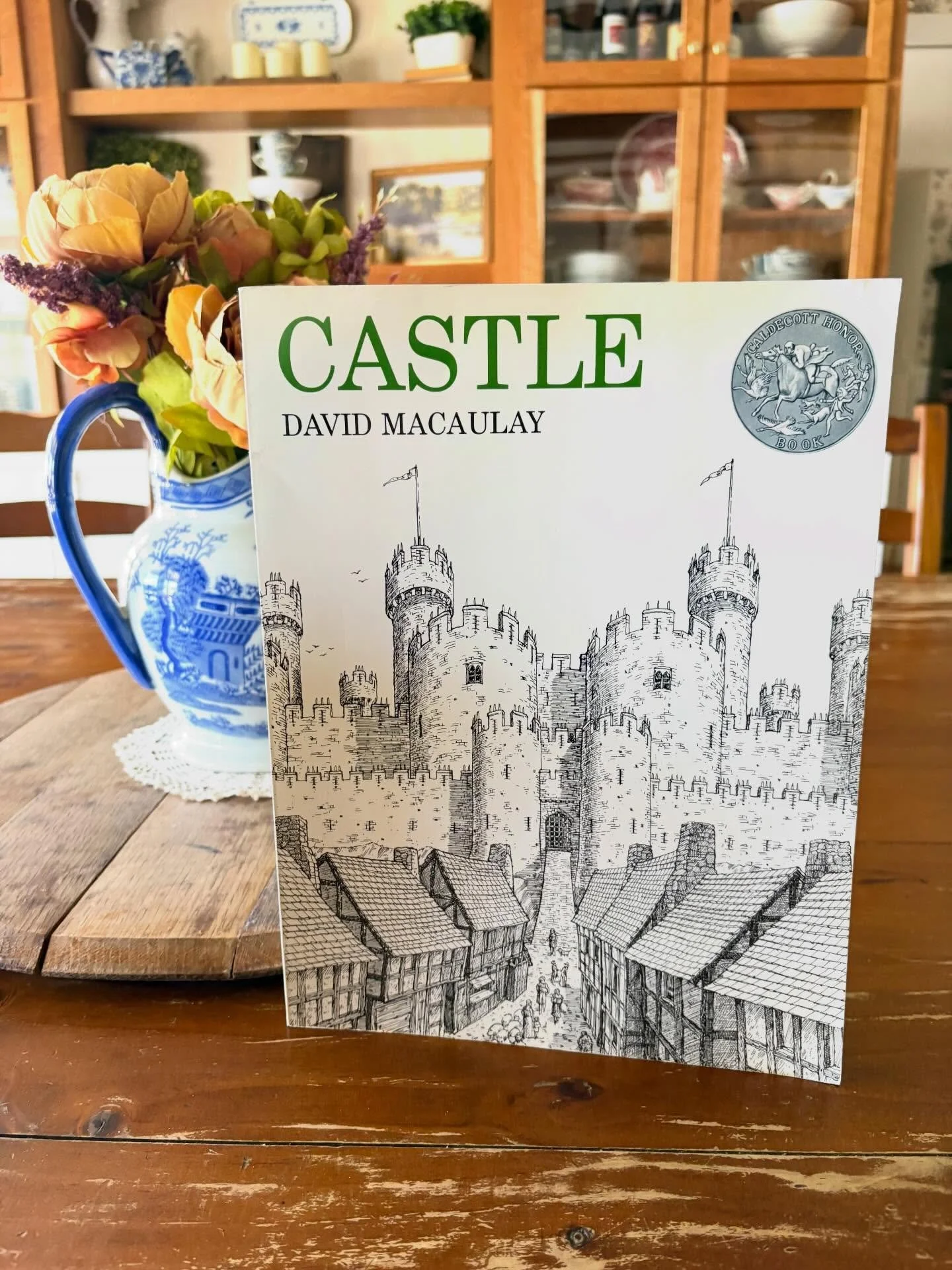 &ldquo;Castle&rdquo; by David Macaulay, 1977

A 1978 Caldecott Honor Book

&ldquo;The word itself conjures up mystery, romance, intrigue, and grandeur. What could be more perfect for an author/illustrator who has continually stripped away the mystiqu
