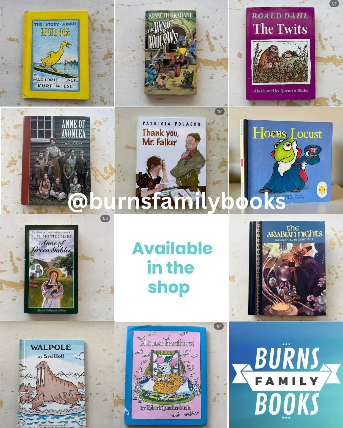 **Shop Share!**

Sara from @burnsfamilybooks has all of these book treasures available right now!