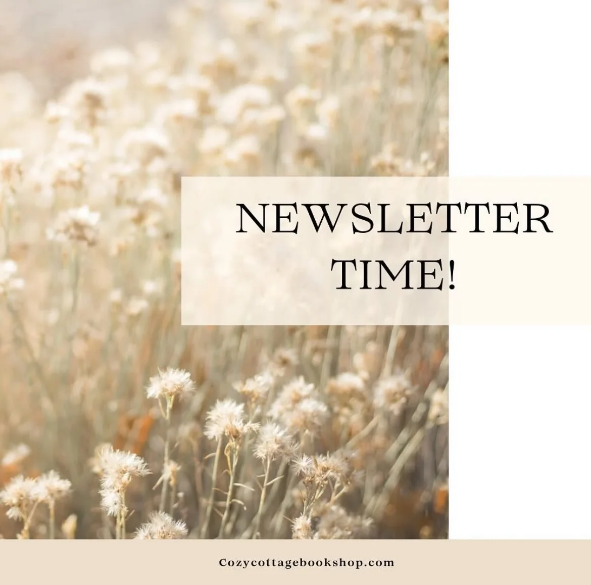 I do so love sending out the first-of-the-month newsletters!

The newest one is now in subscribers&rsquo; inboxes, complete with a discount code!