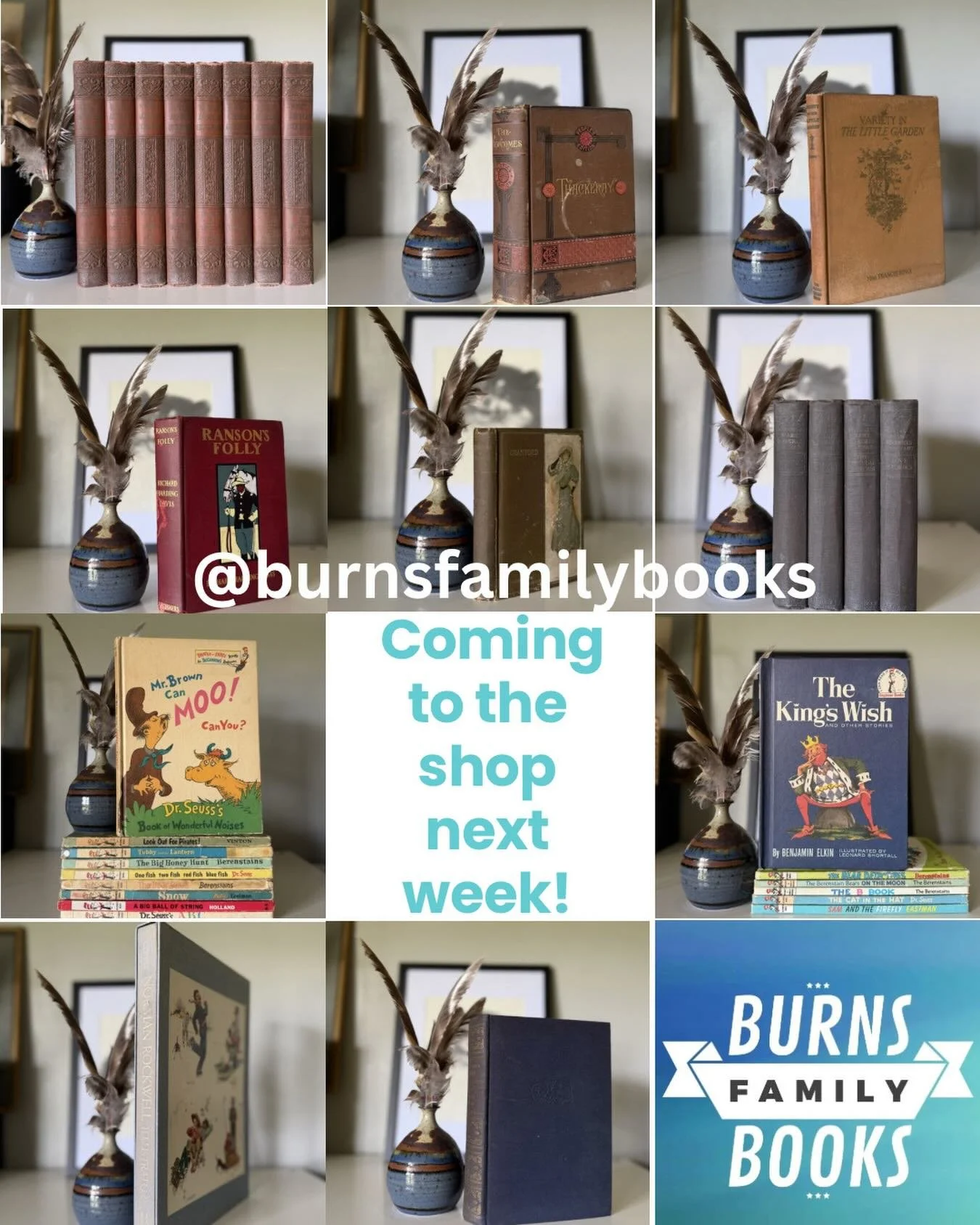 **Shop Share!**

Next week is going to be splendid with all of these books coming from @burnsfamilybooks !