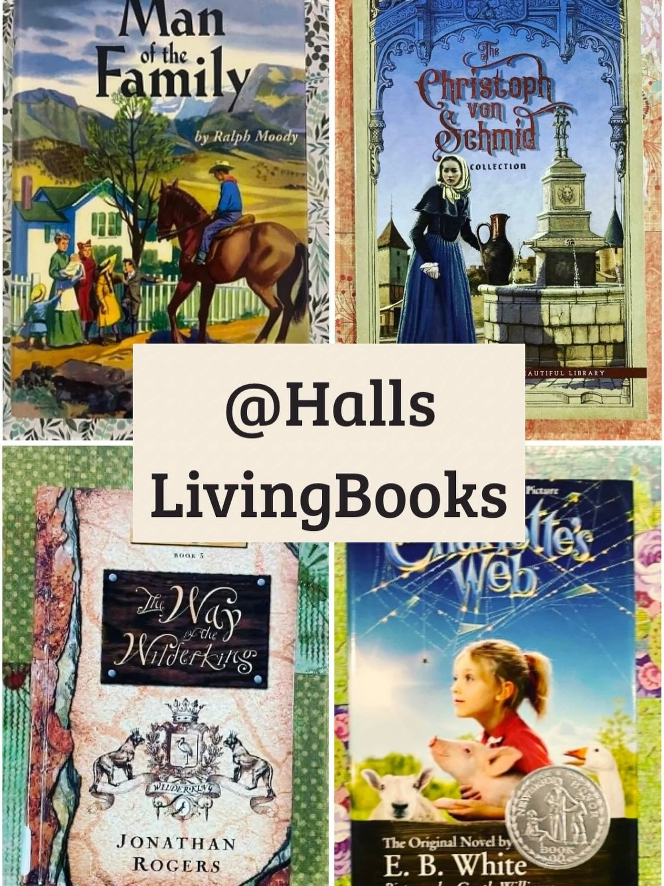 **Shop Share!**

I always love perusing @hallslivingbooks shelves! I find many old friends and many new ones!