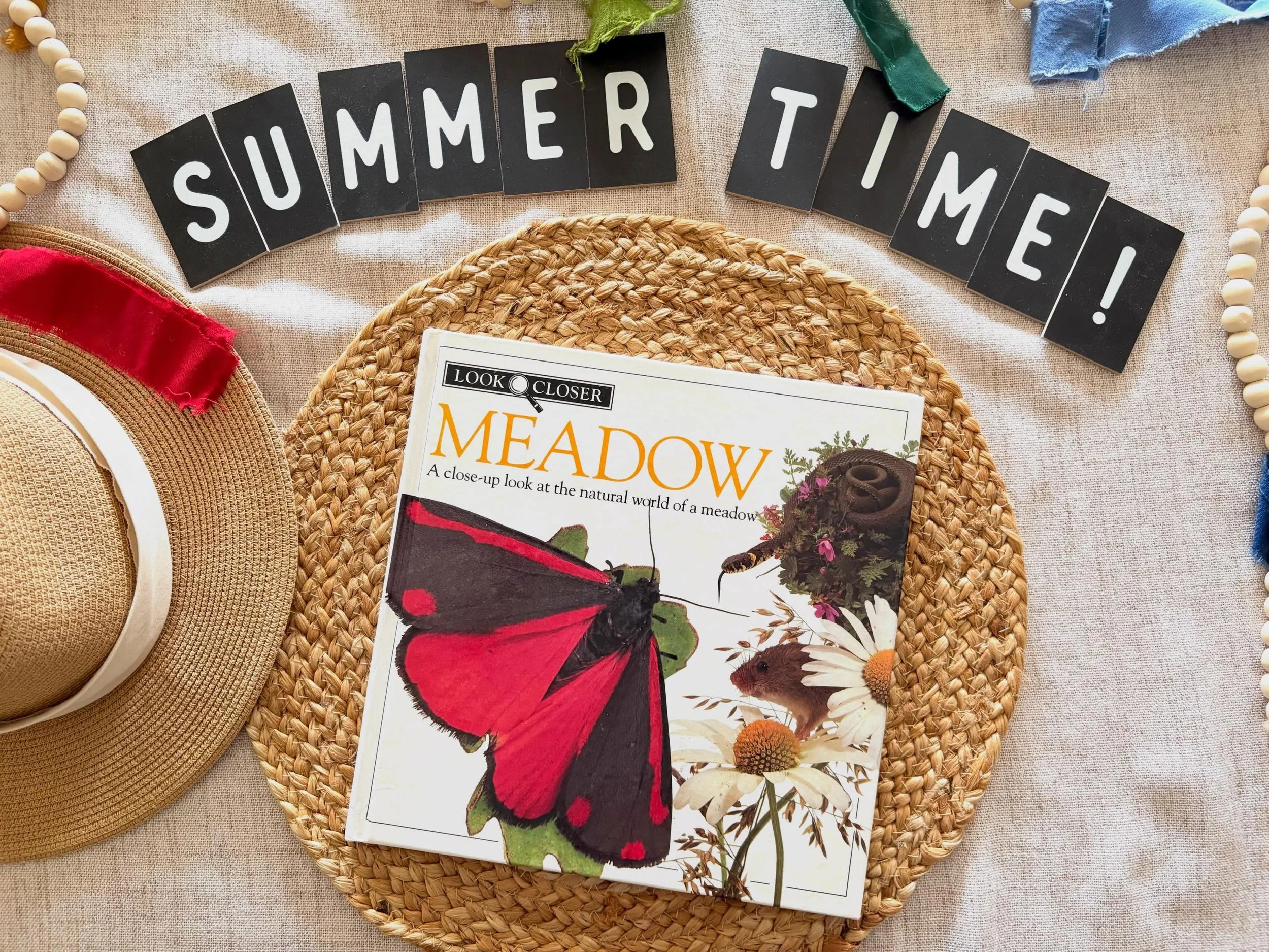 Look Closer &ldquo;Meadow&rdquo; by Barbara Taylor, 1992

&ldquo;Take a closer look at nature!

Look Closer is an innovative series of information books for young readers. Each larger-than-life photograph illustrates animals and plants in greater det