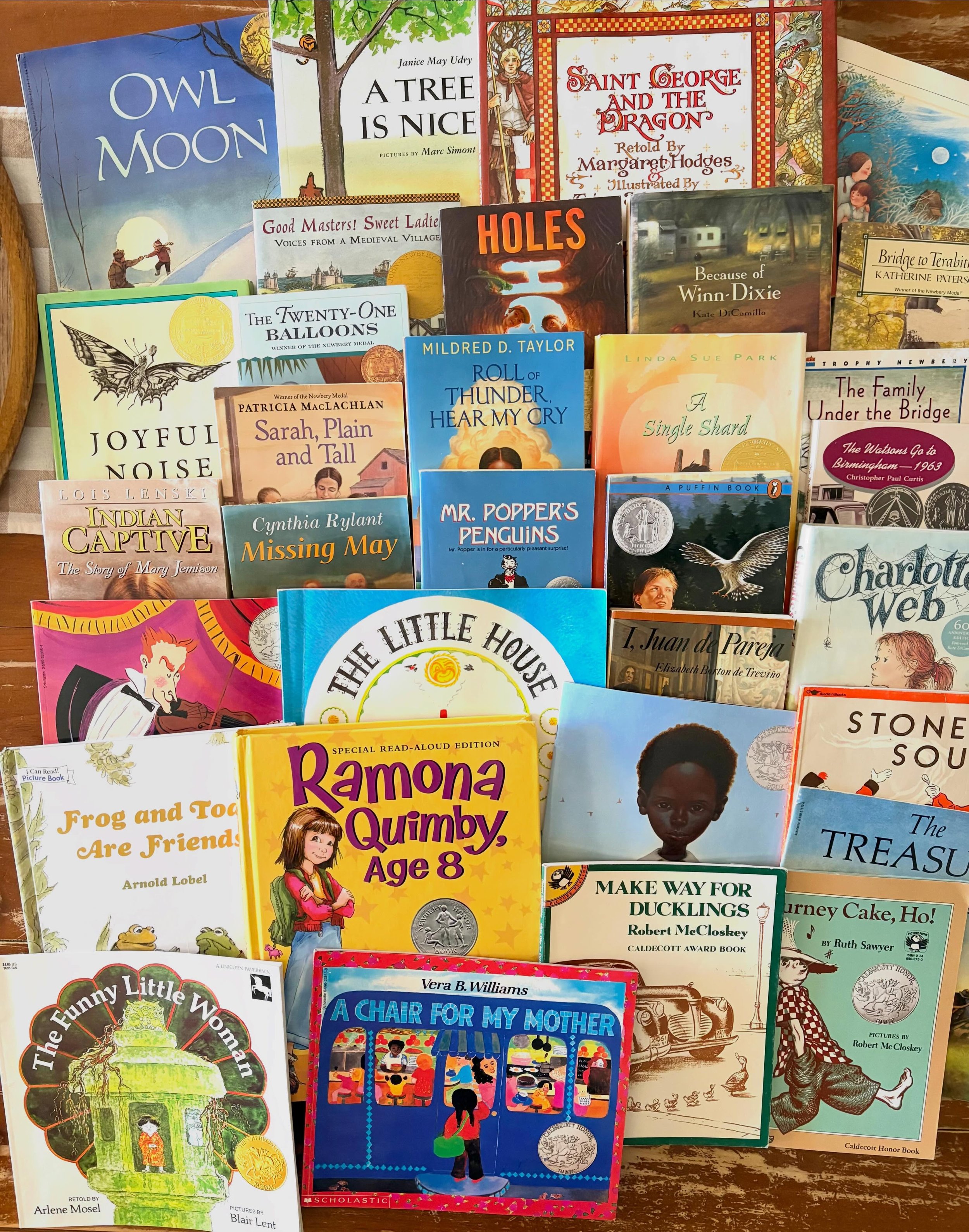 Sneak peek for this week&rsquo;s #caldecott_newbery26 sale! 

I have SO MANY books to share with you on June 10th and 11th that&rsquo;s going to be tricky to get them all in!

(See any you need to add to your library? Request a tag!)

All of these sh