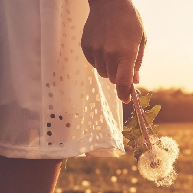 Field Full of Wishes