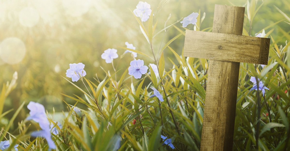 The Rite Stuff
