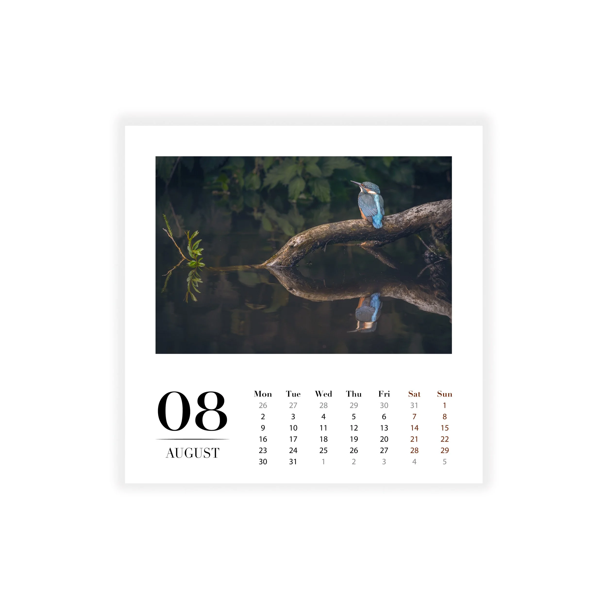 SS_08. Aug.jpg