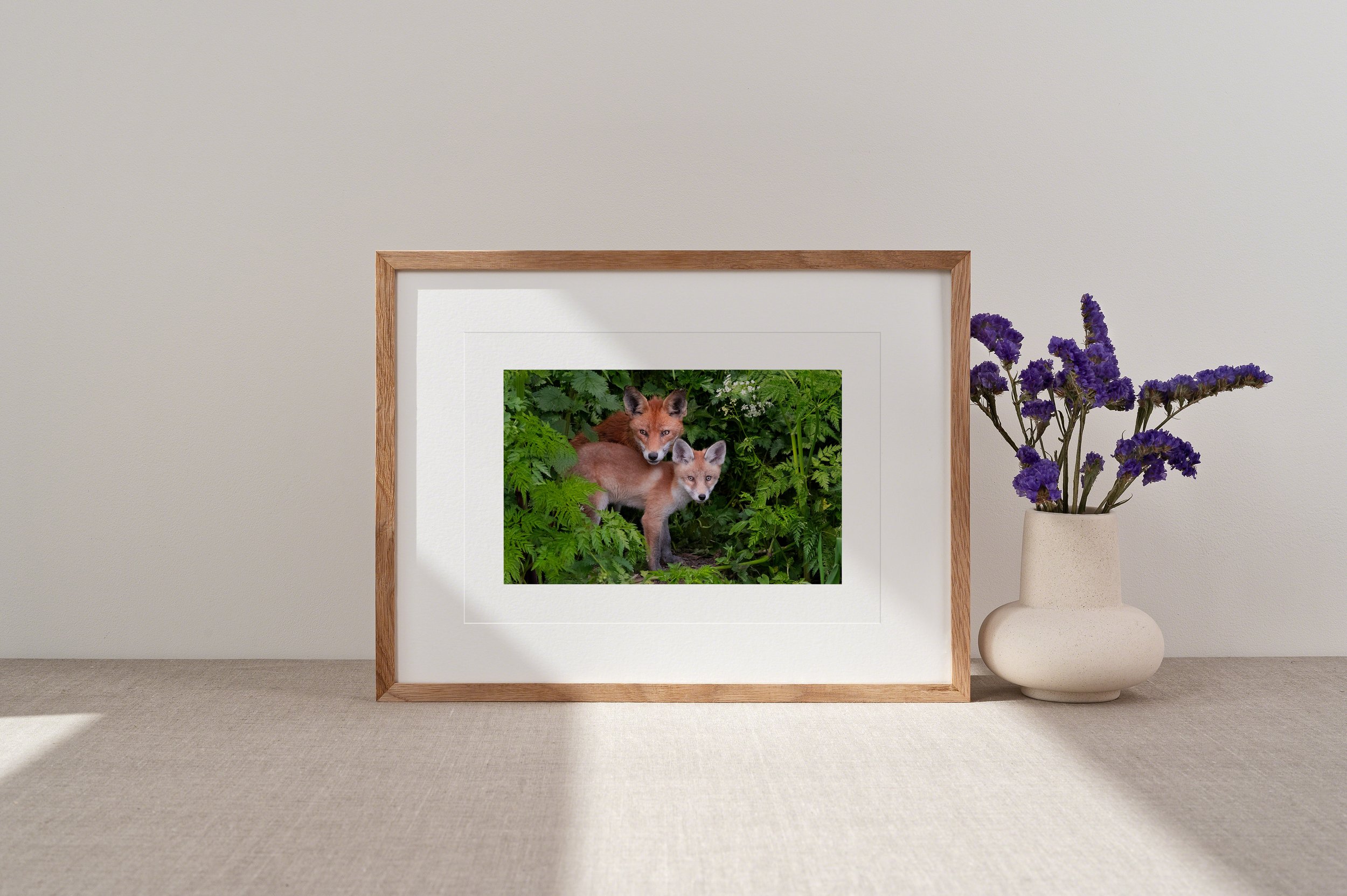 A5-Fox Mother and Cub_MU.jpg