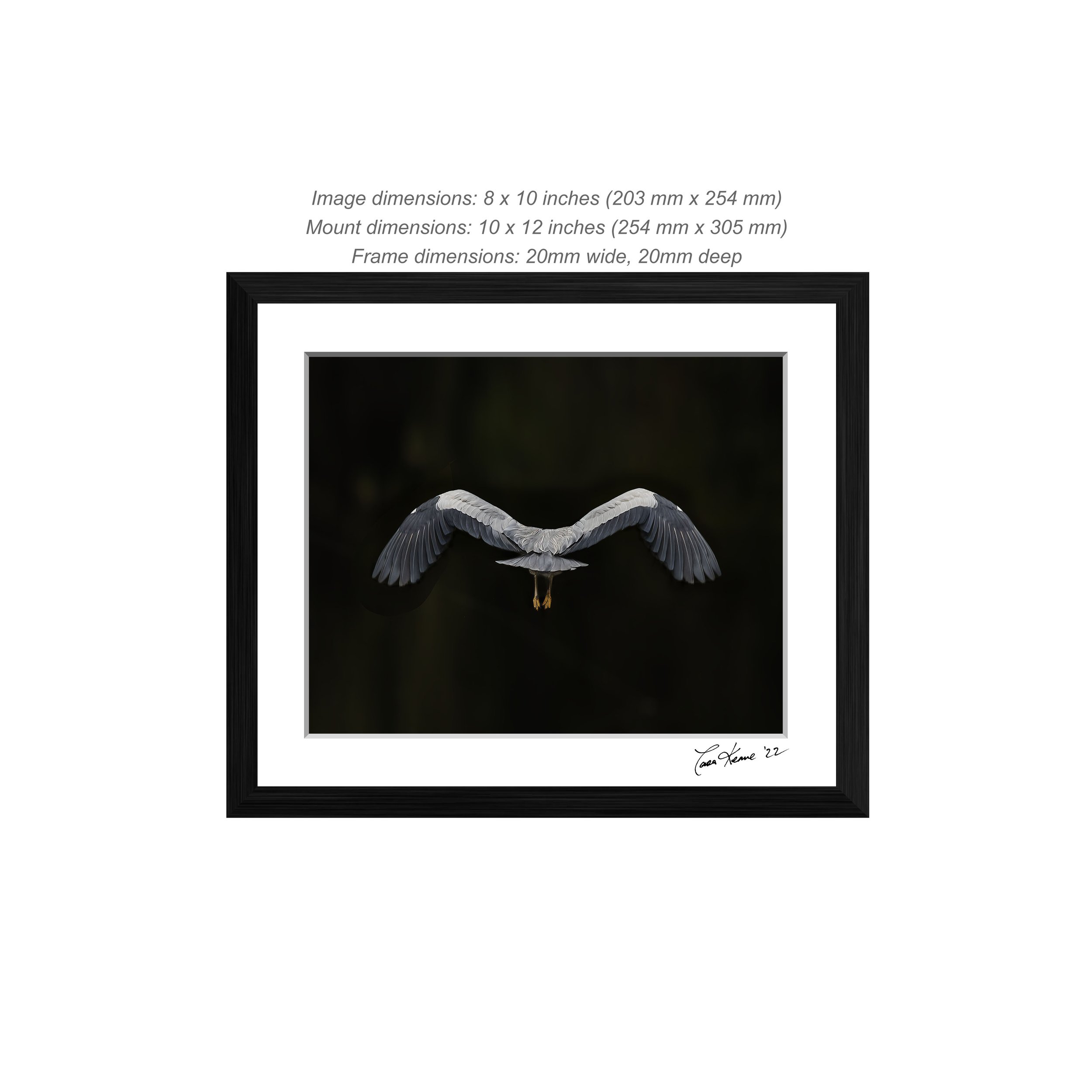 2.3 Heron_0011_10x8-MCS.jpg