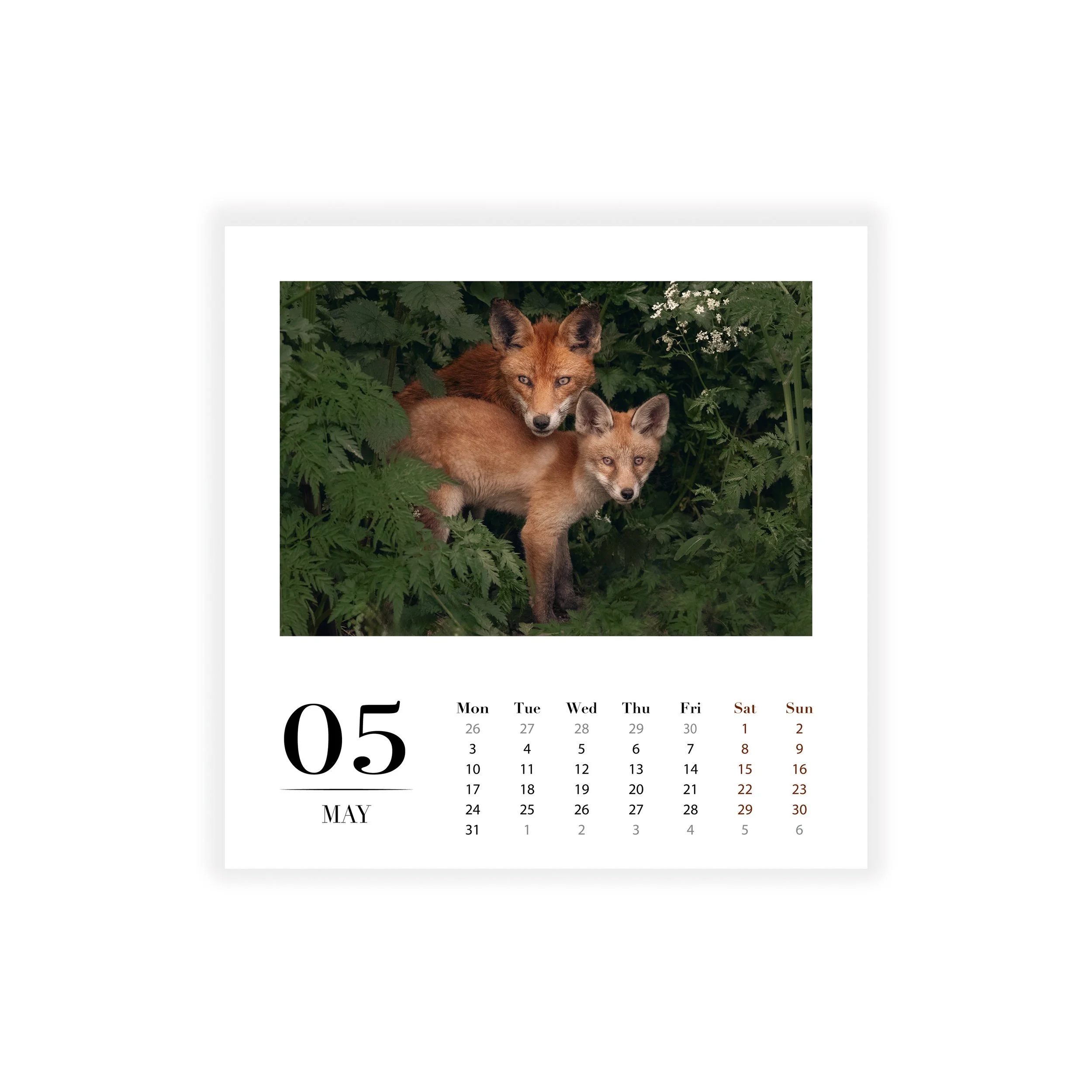 SS_05. May.jpg