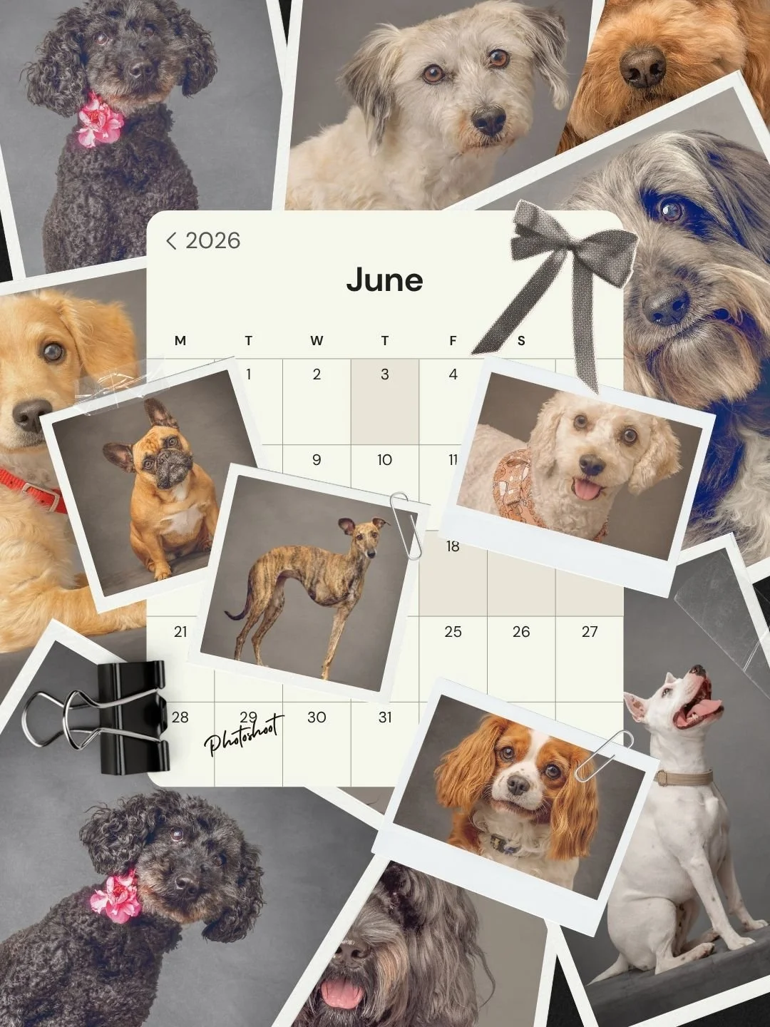June Gallery