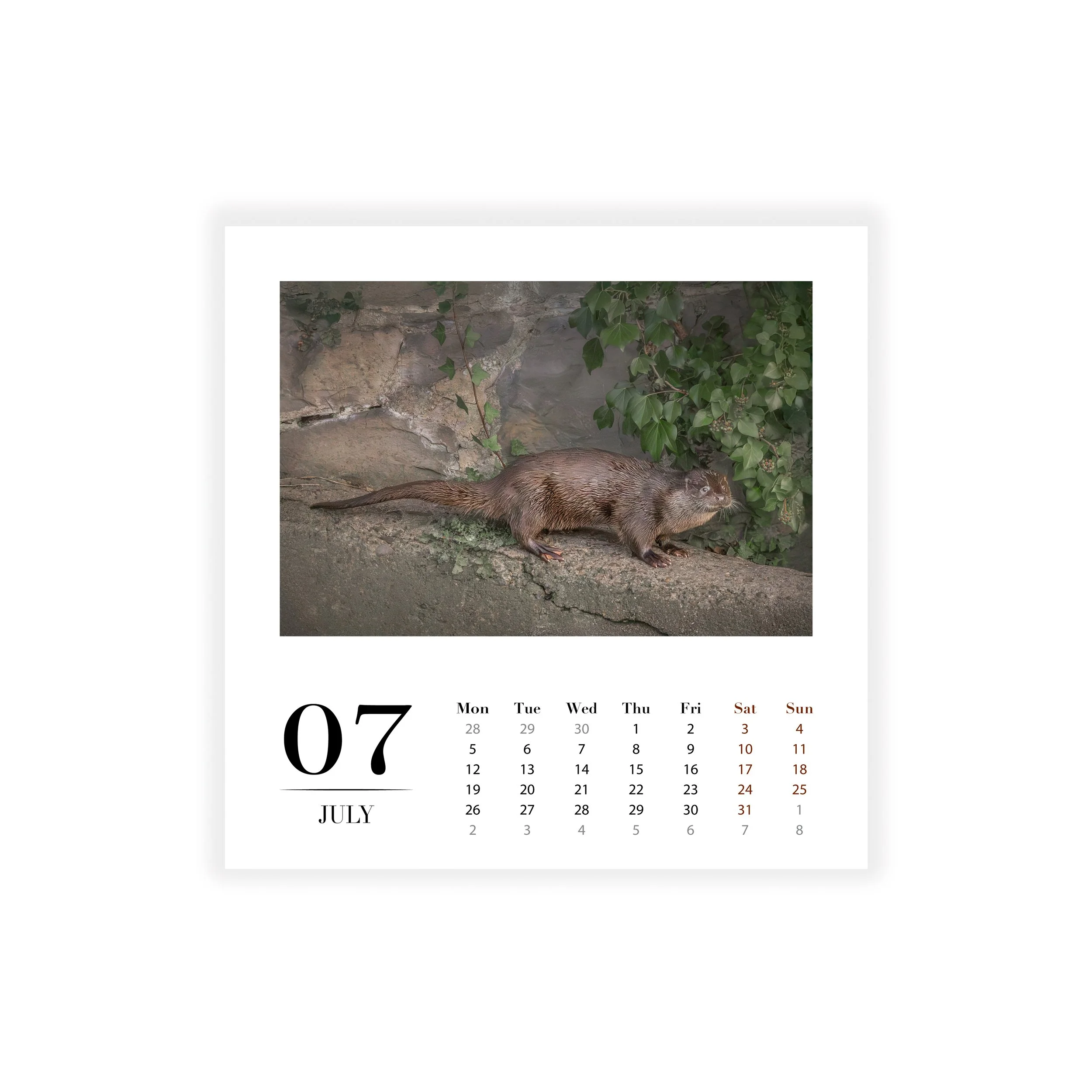 SS_07. JuL.jpg