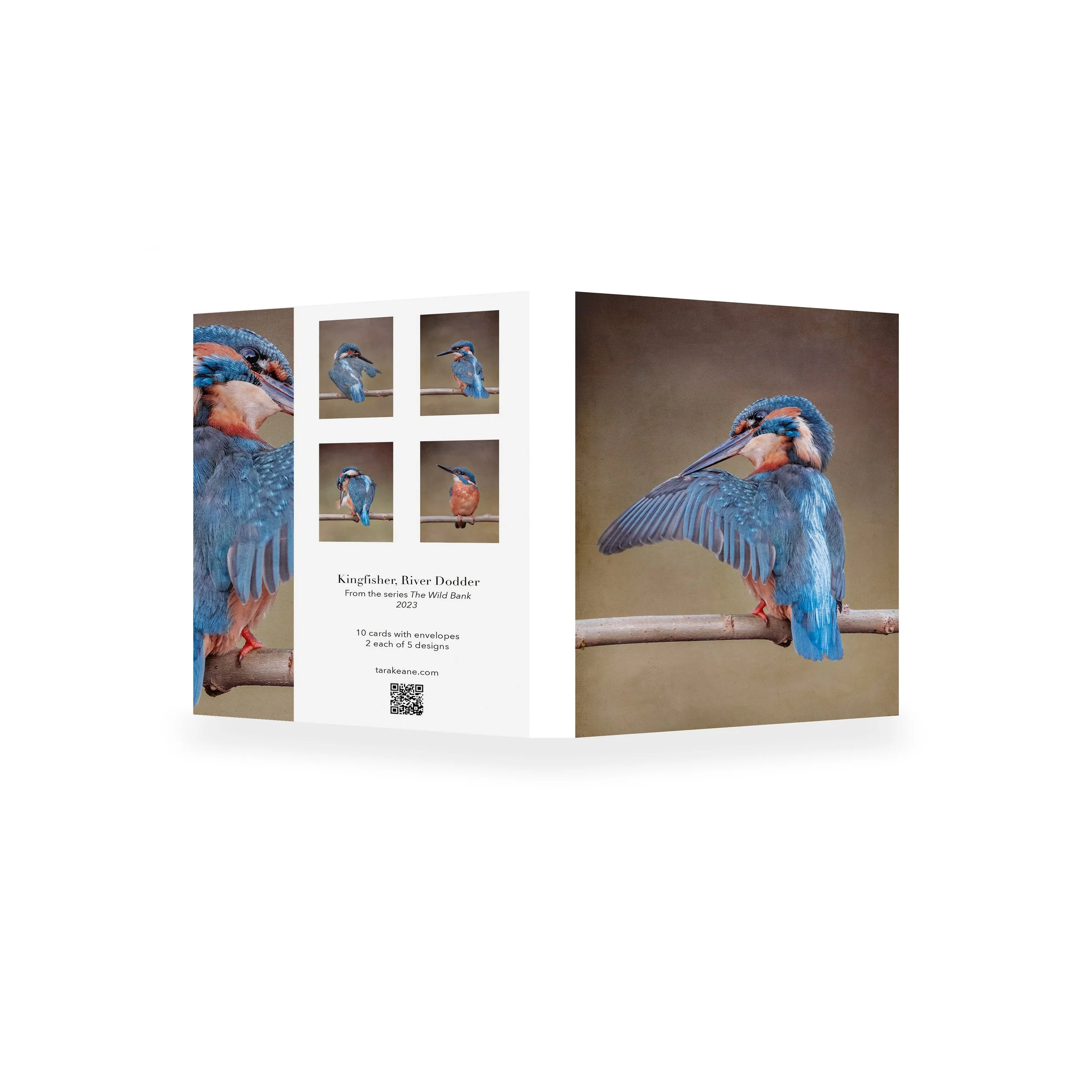 Greeting Cards 10 Pack