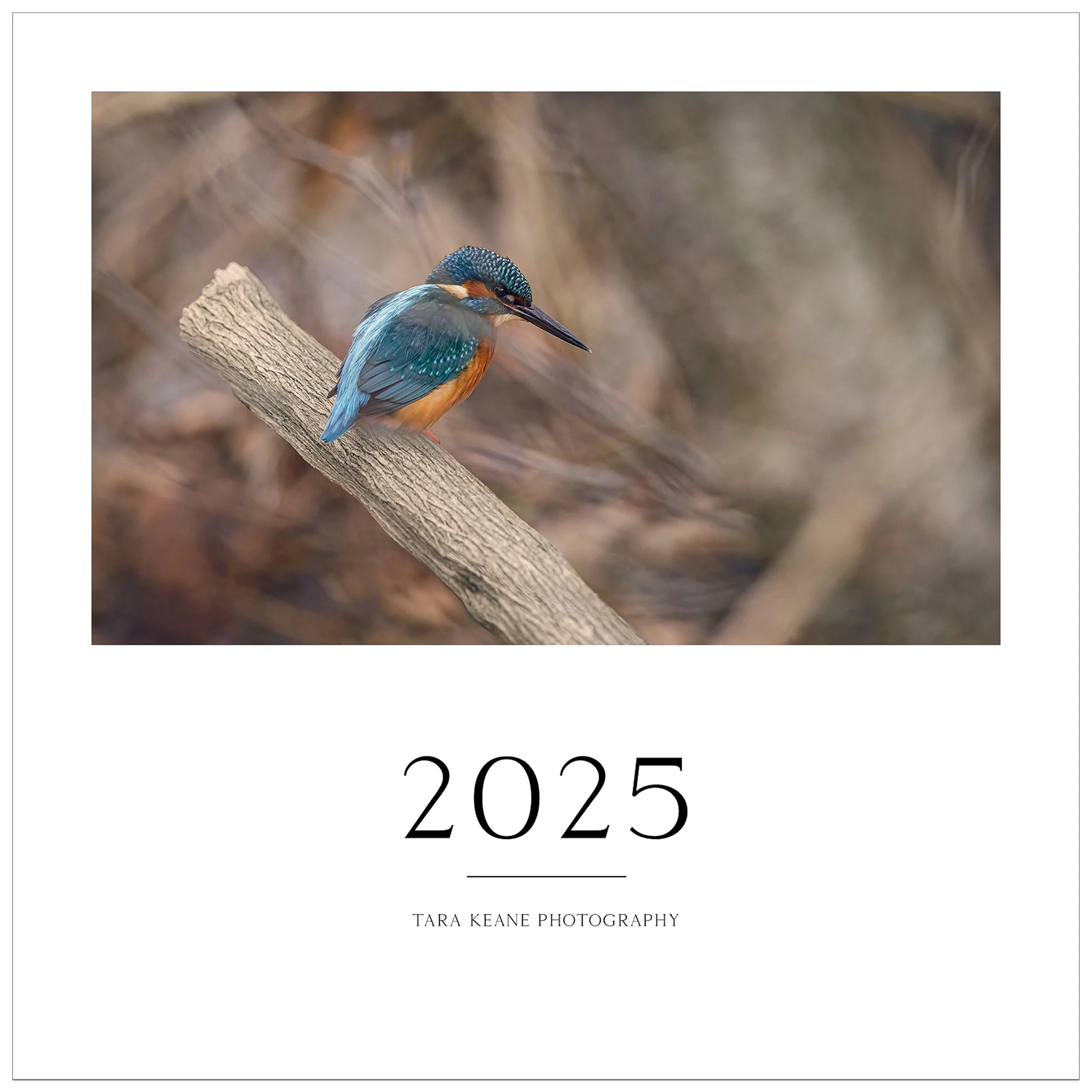 COVER-HOMEPAGE.jpg