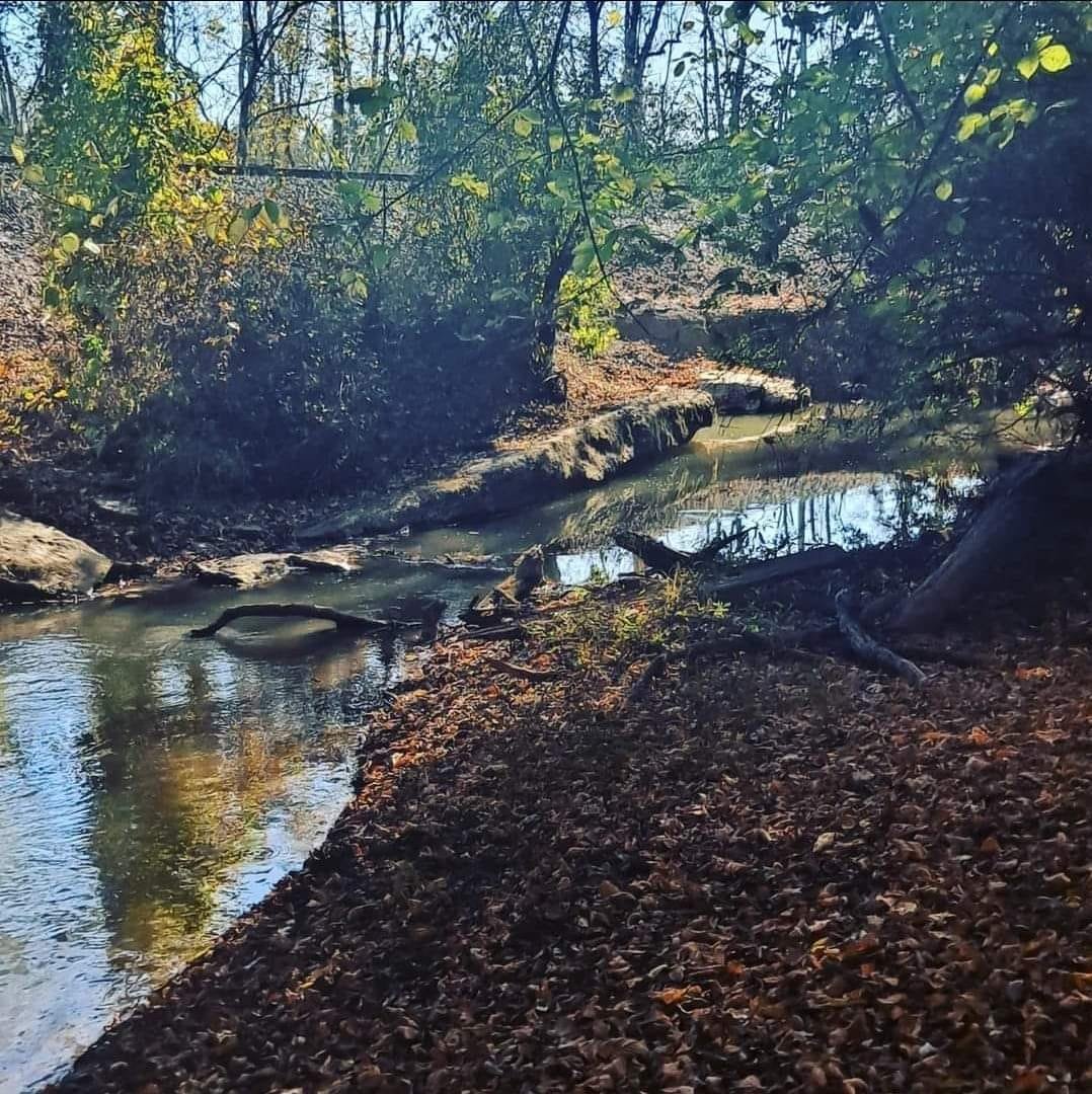 creek.jpeg