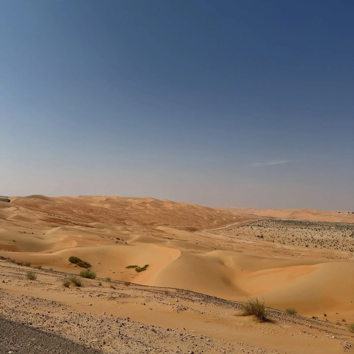 What a week 💜🇦🇪

Did you swipe till the end? 👀

#abudhabi #engament #outofoffice