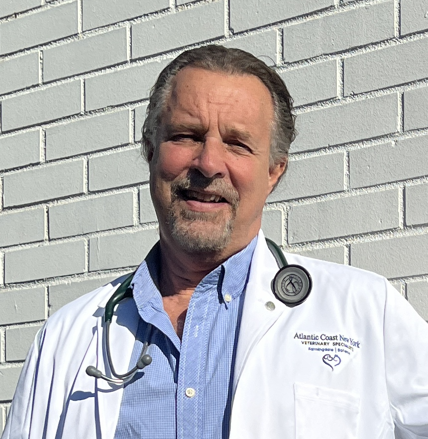 Privacy Policy 1 — Atlantic Coast Veterinary Cardiology