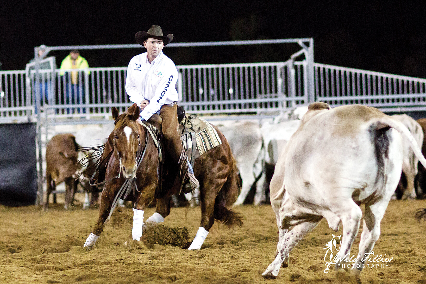 Double J Quarter Horses