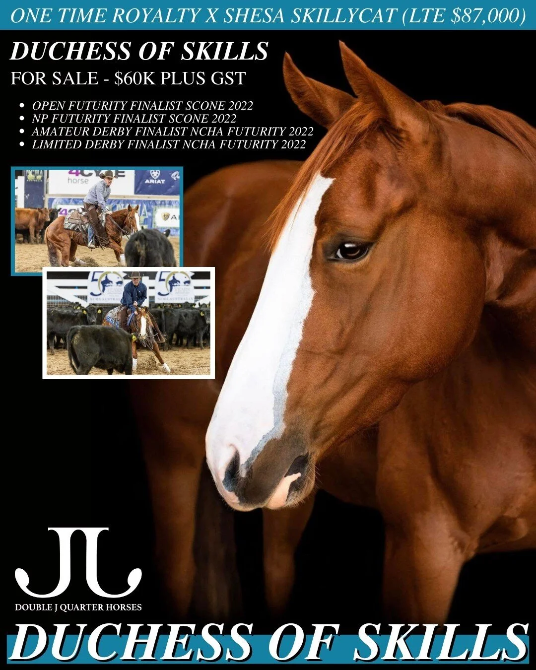 Double J Quarter Horses