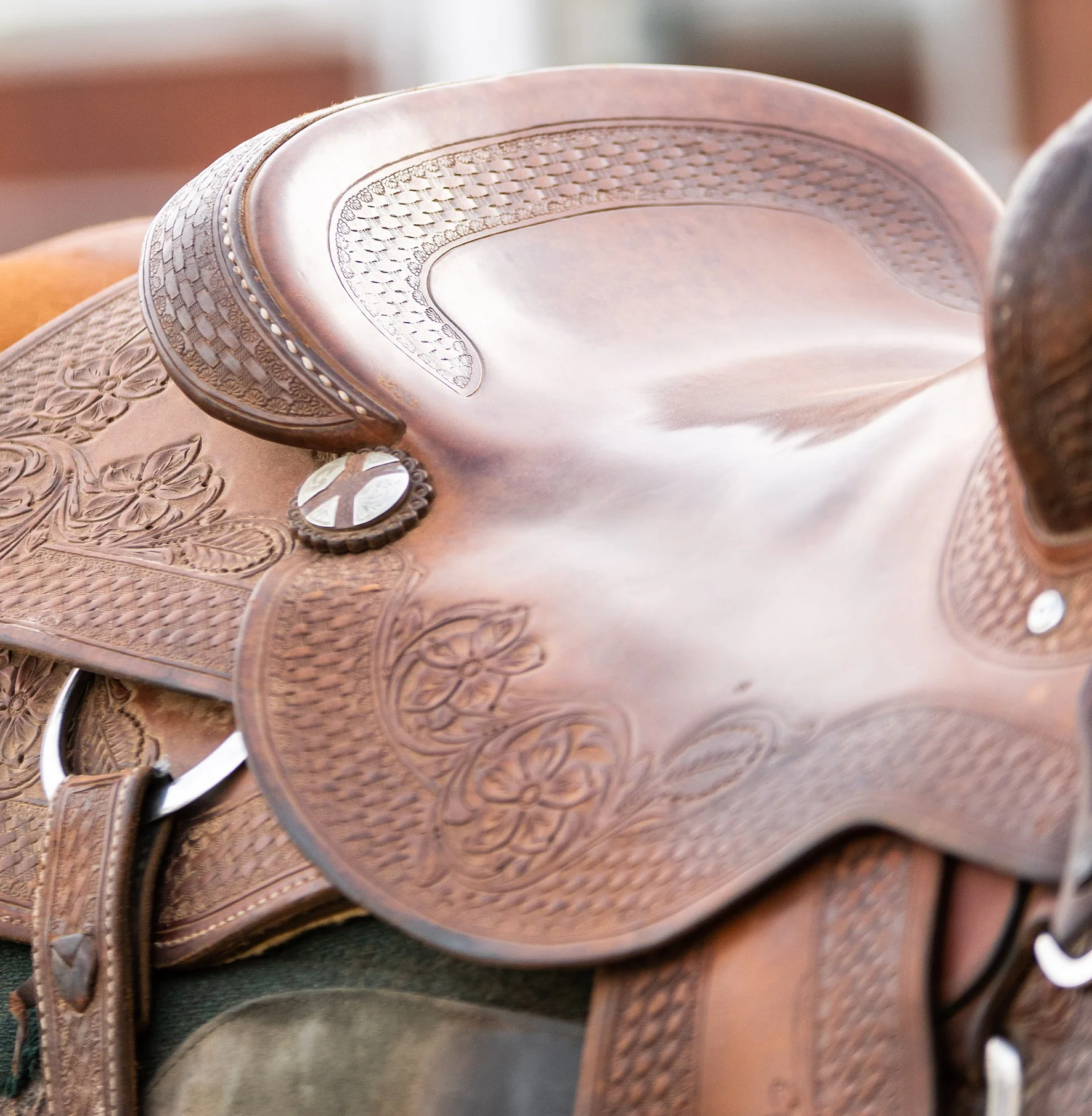 Double J Quarter Horses