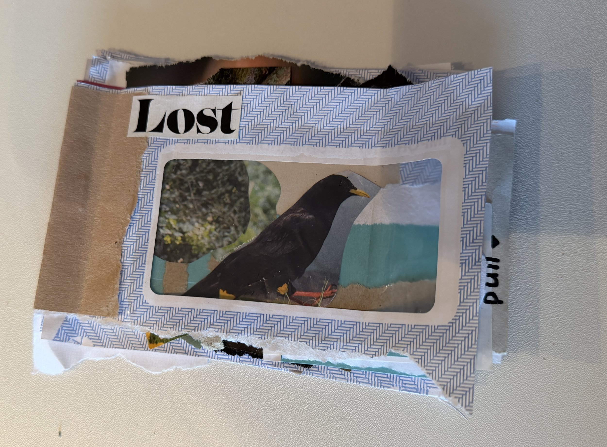 A torn piece of envelope paper with the word 'Lost' written on it, revealing a landscape image underneath where a black chough bird looks into the distance.