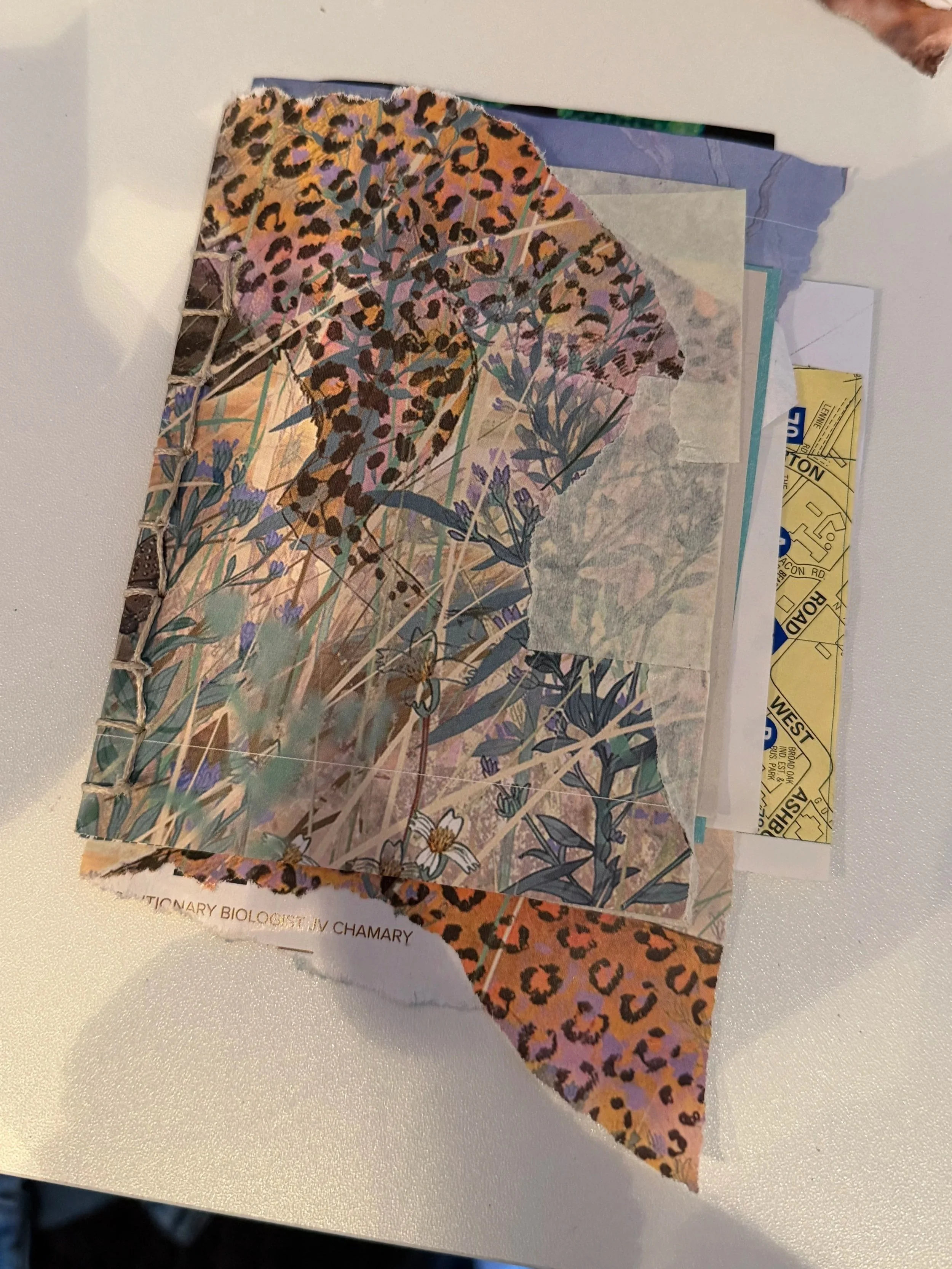 A torn pamphlet with a colorful botanical illustration featuring various plants and leaves, including a section with leopard print pattern. The pamphlet is placed on a white surface.