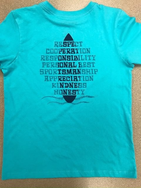 teal shirt back.jpeg