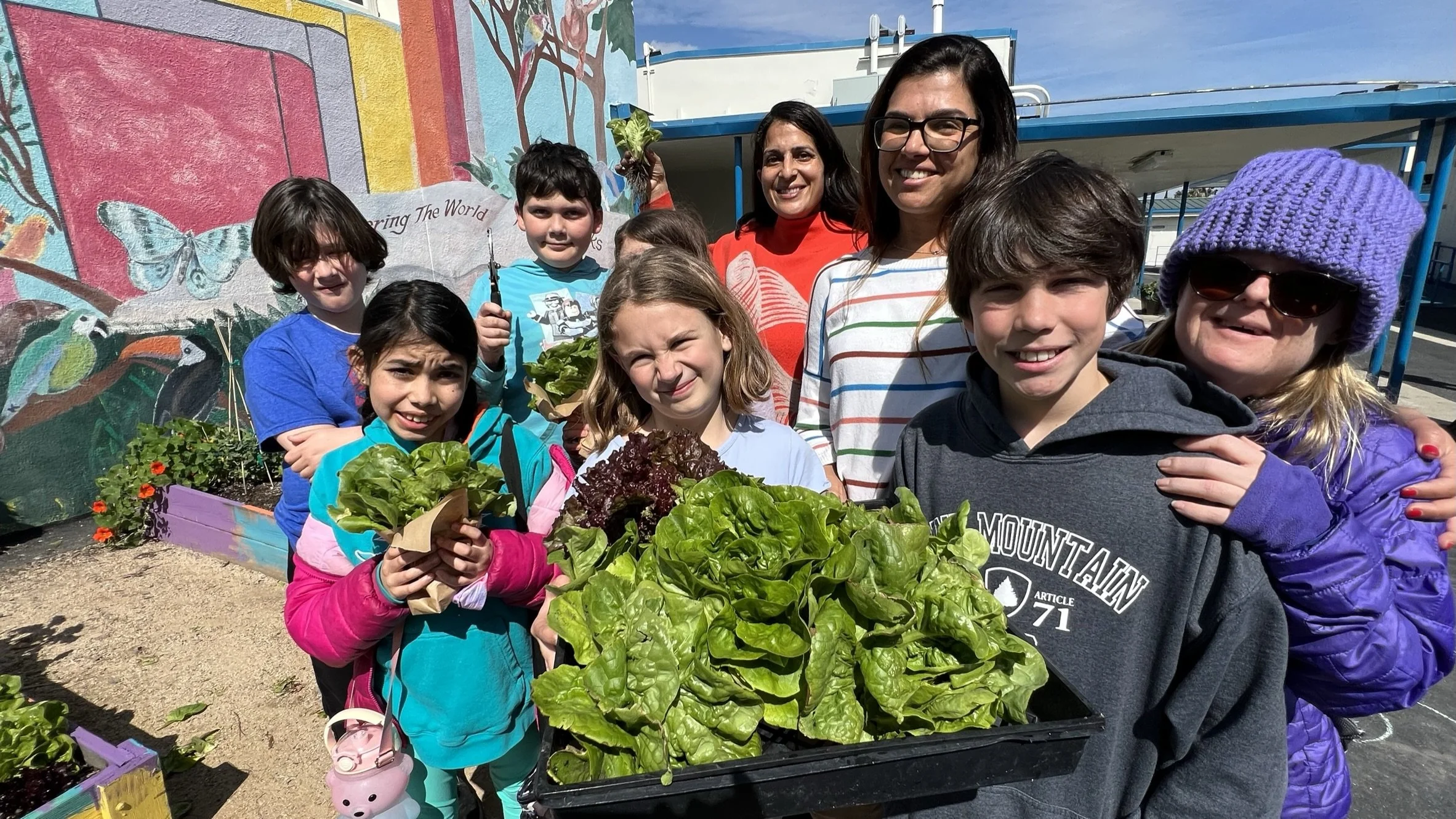 Let us pick Lettuce!!!