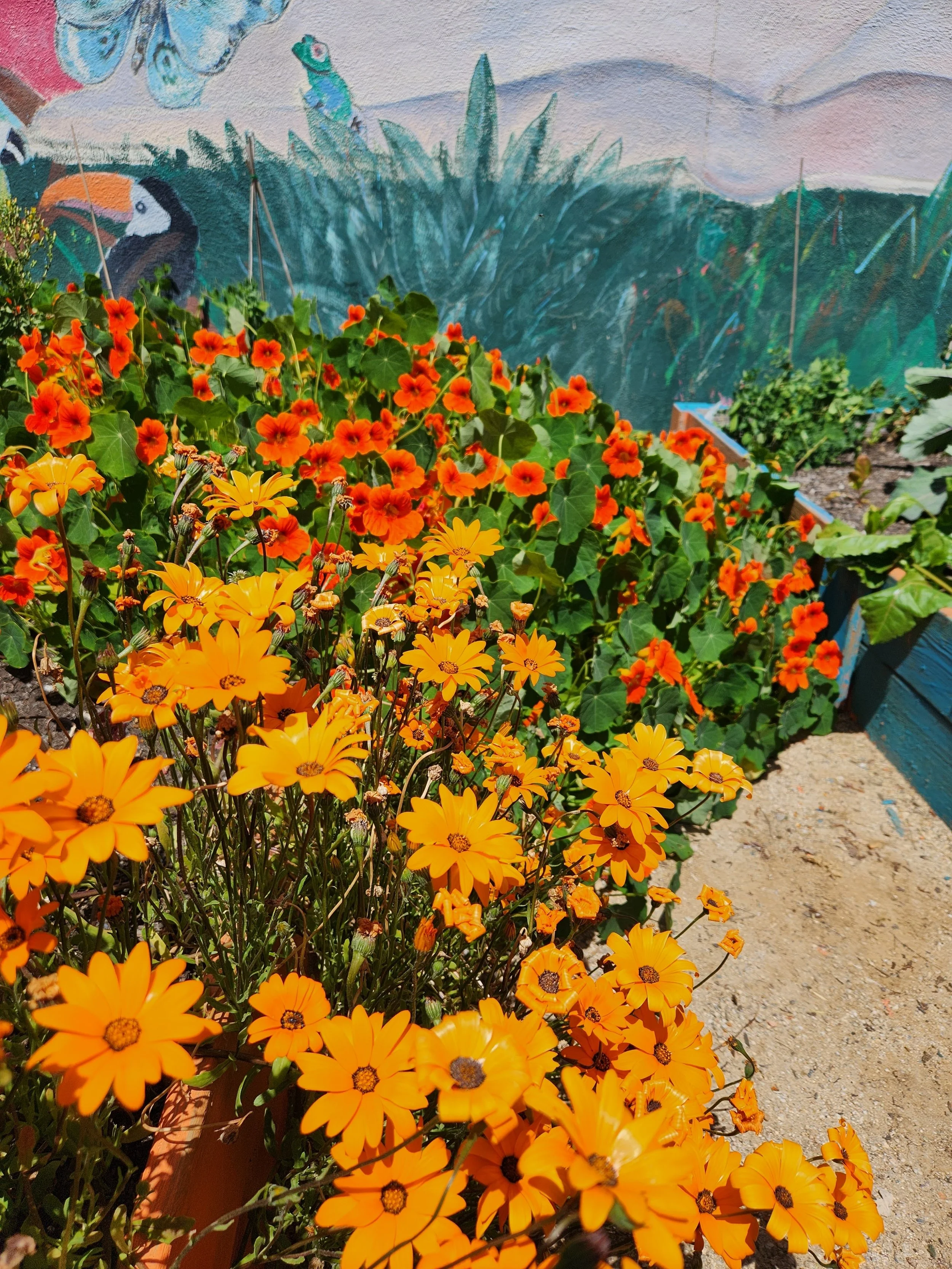 gardening 3.jpeg