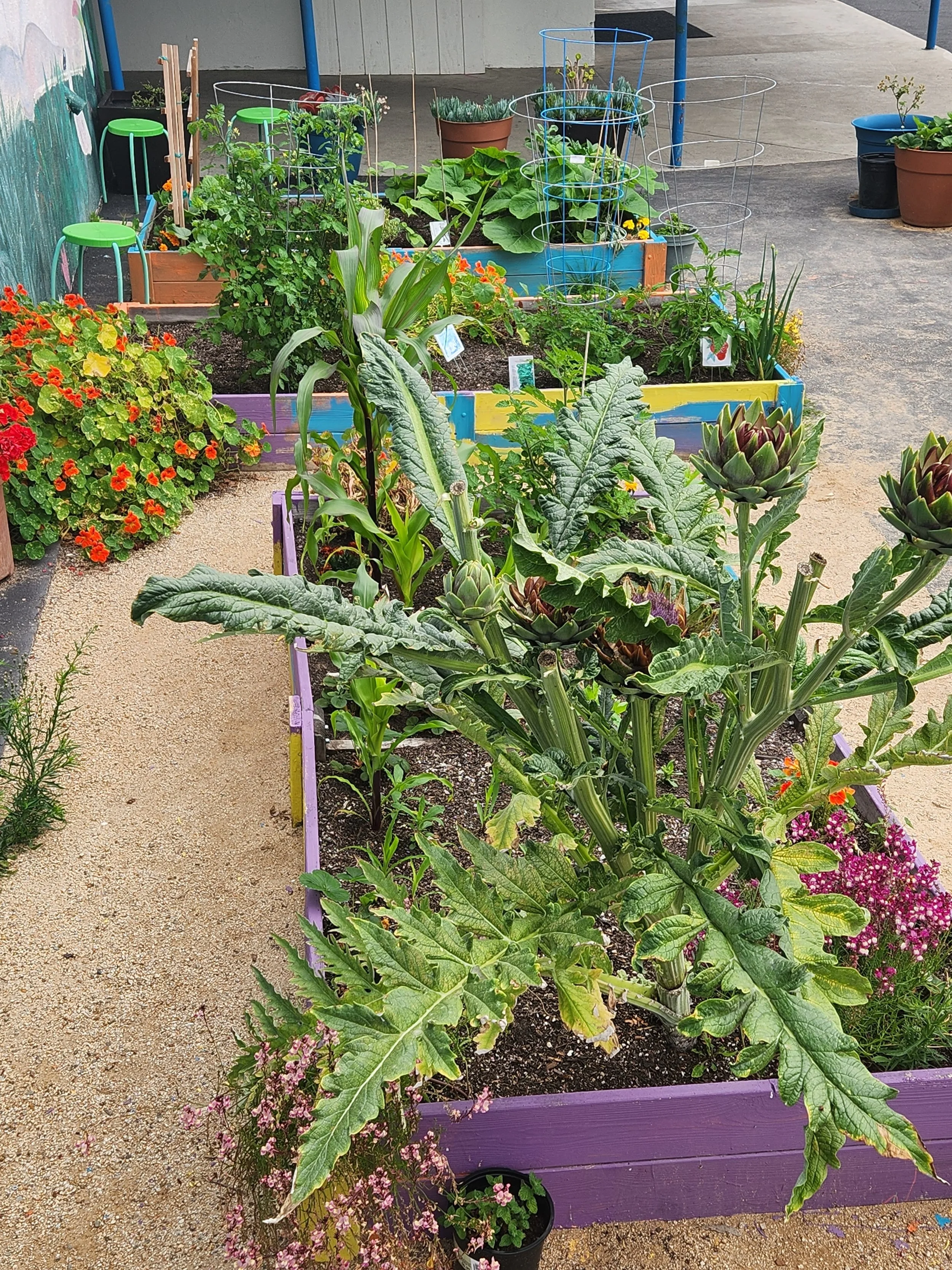 gardening1.jpeg