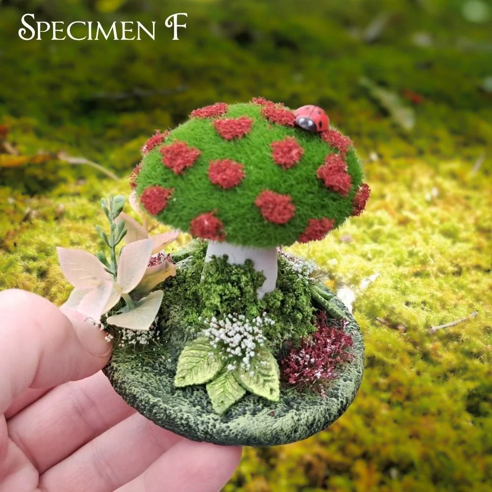 Mosshroom Specimen F (2).jpg