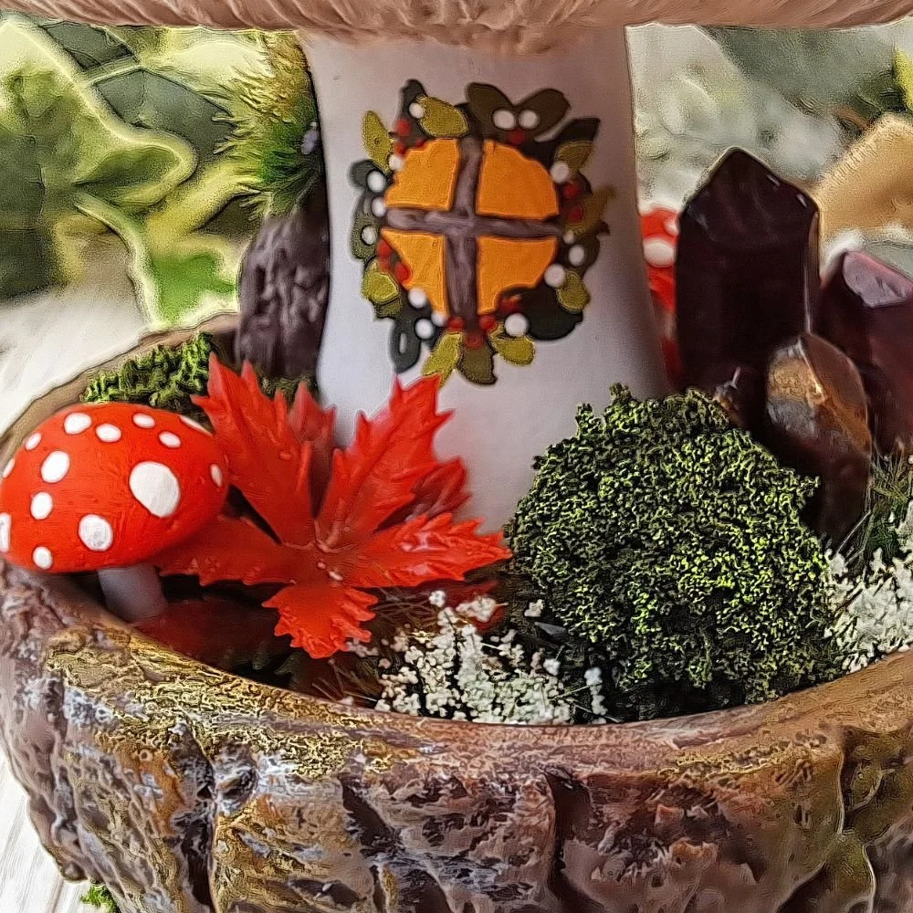 Potted Toadstool (6).jpg