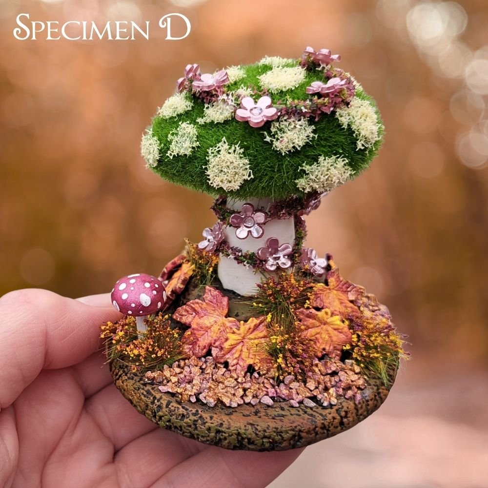 Mosshroom Specimen D (2).jpg