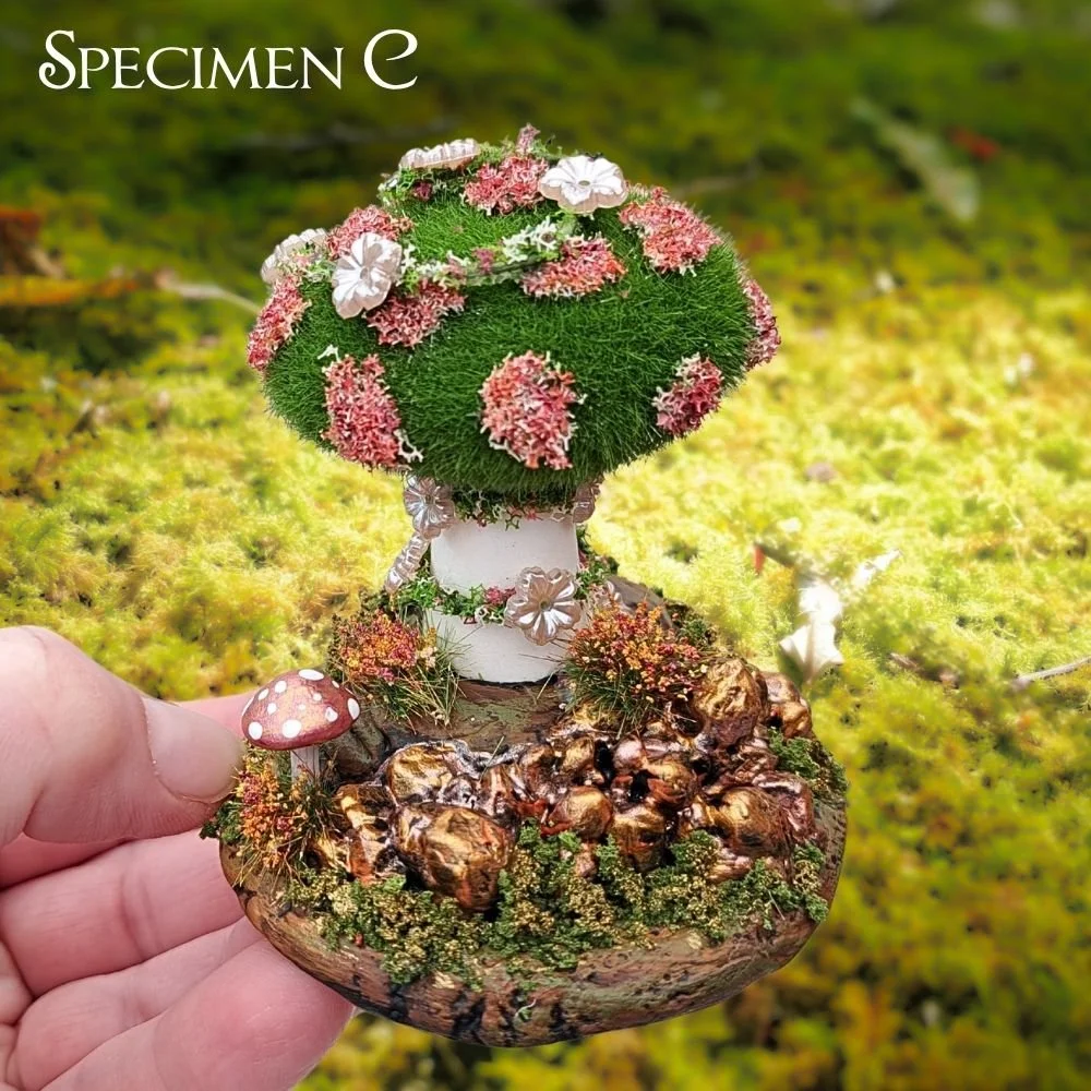 Mosshroom Specimen C (2).jpg