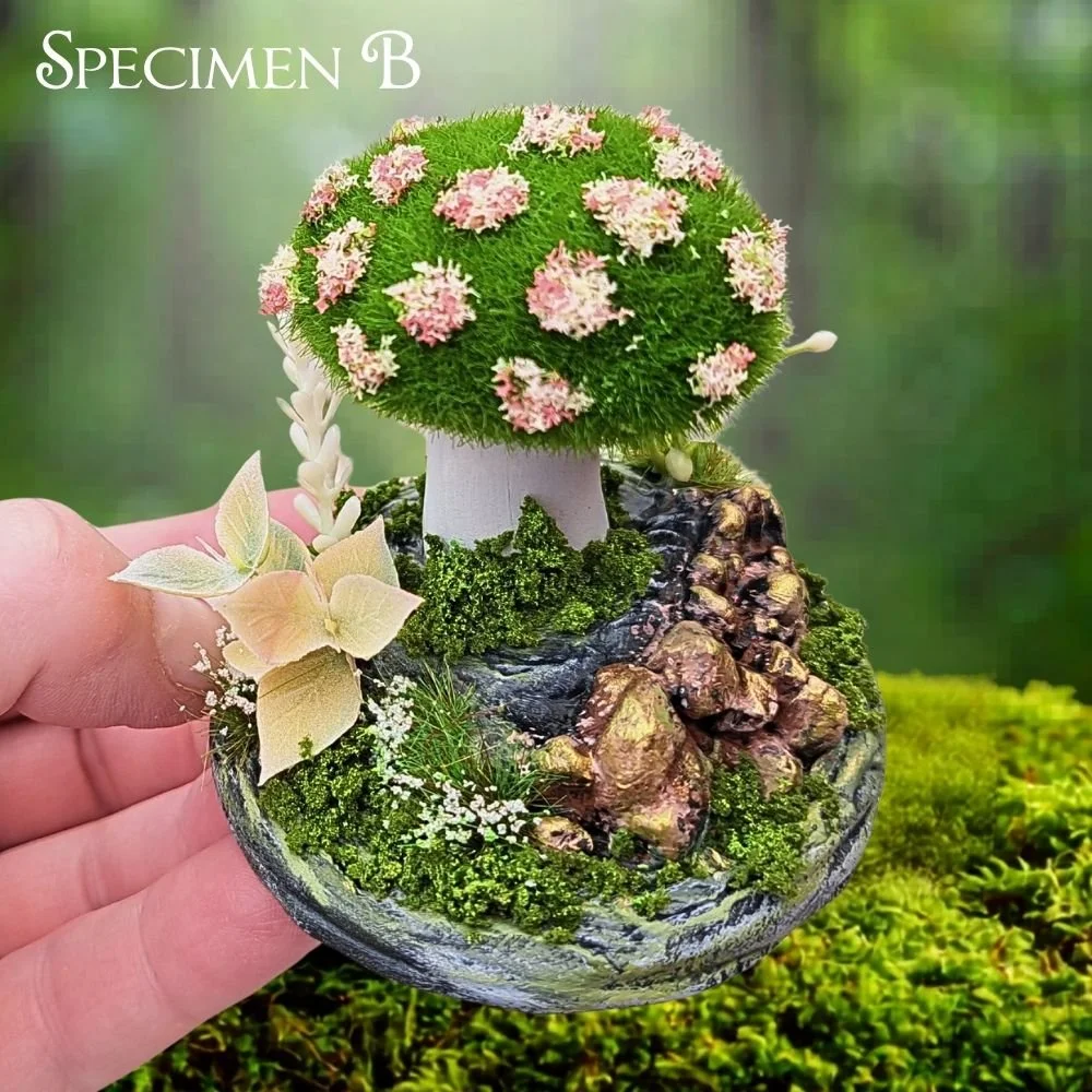 Mosshroom Specimen B (2).jpg