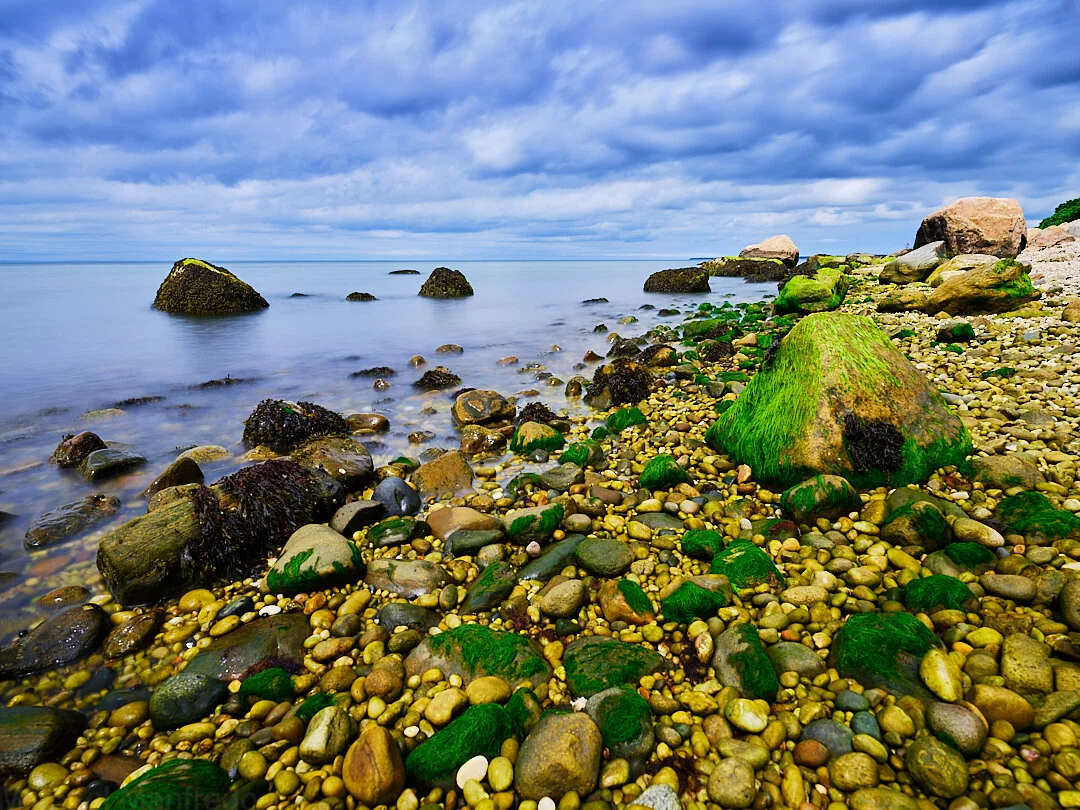 DSCF6231.jpg