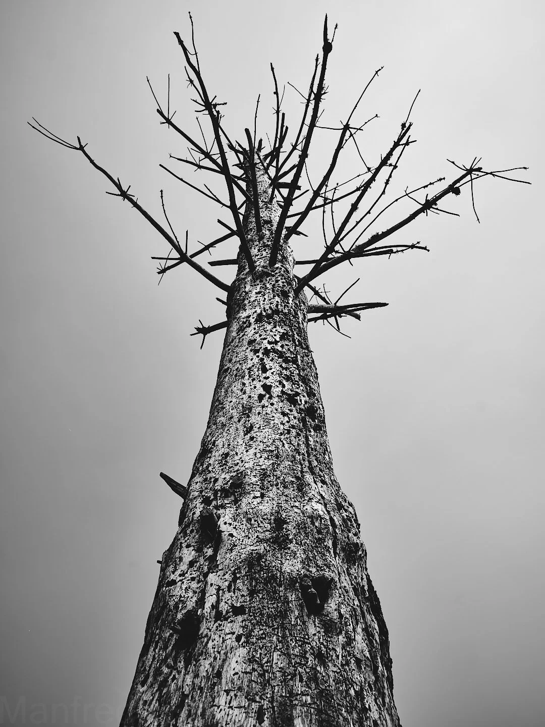 DSCF6995.jpg