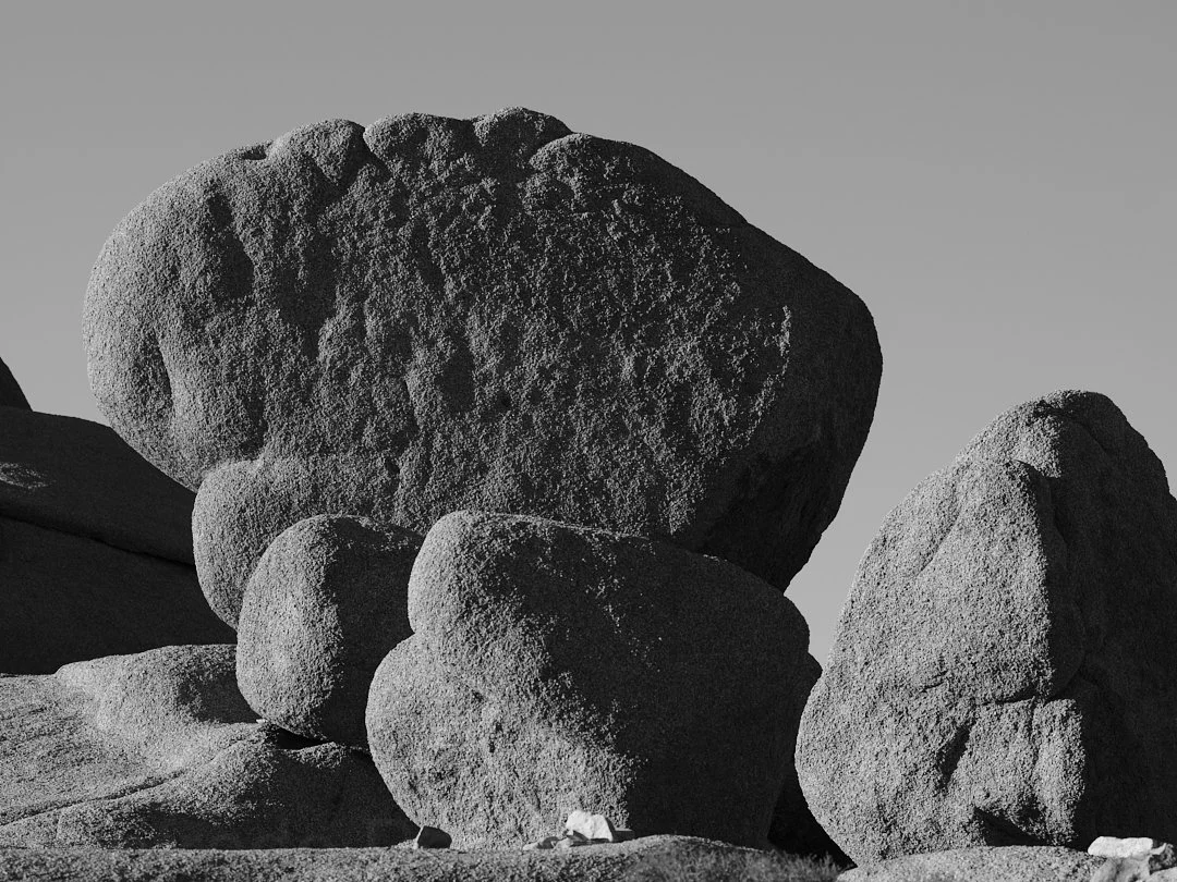 DSCF1385.jpg