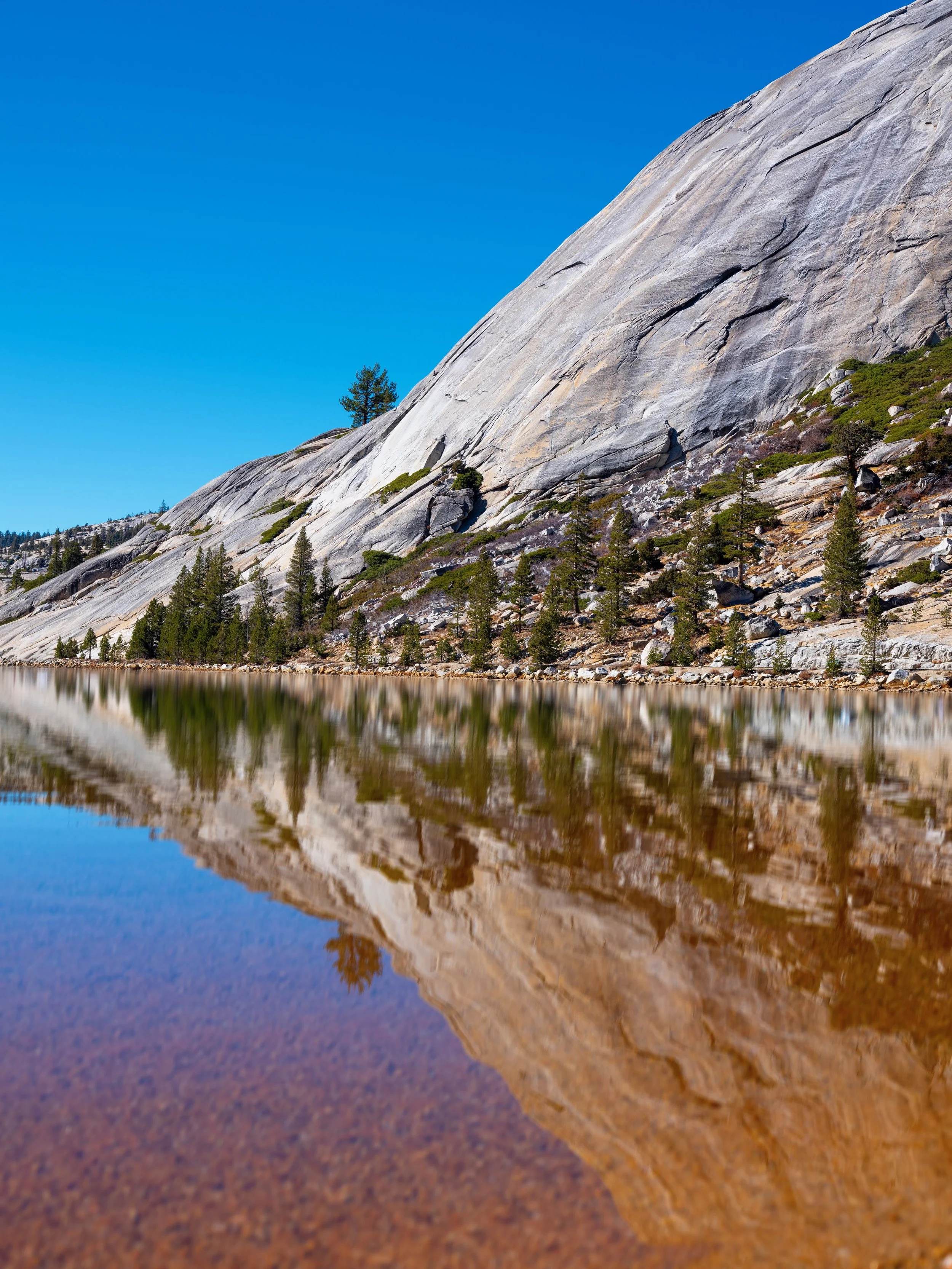 Reflections of Yosemite