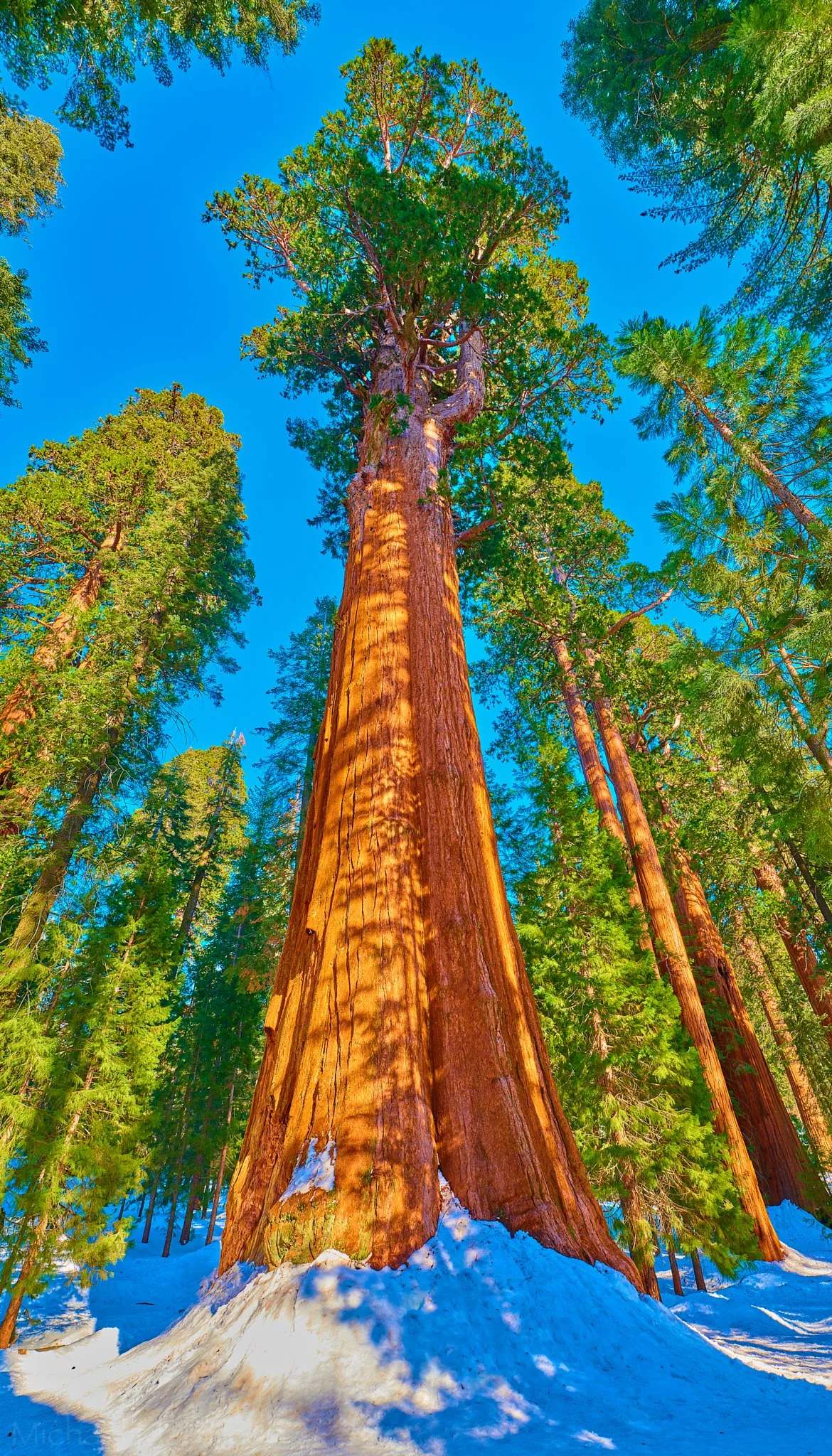 DSCF2135_Panorama edit.jpg