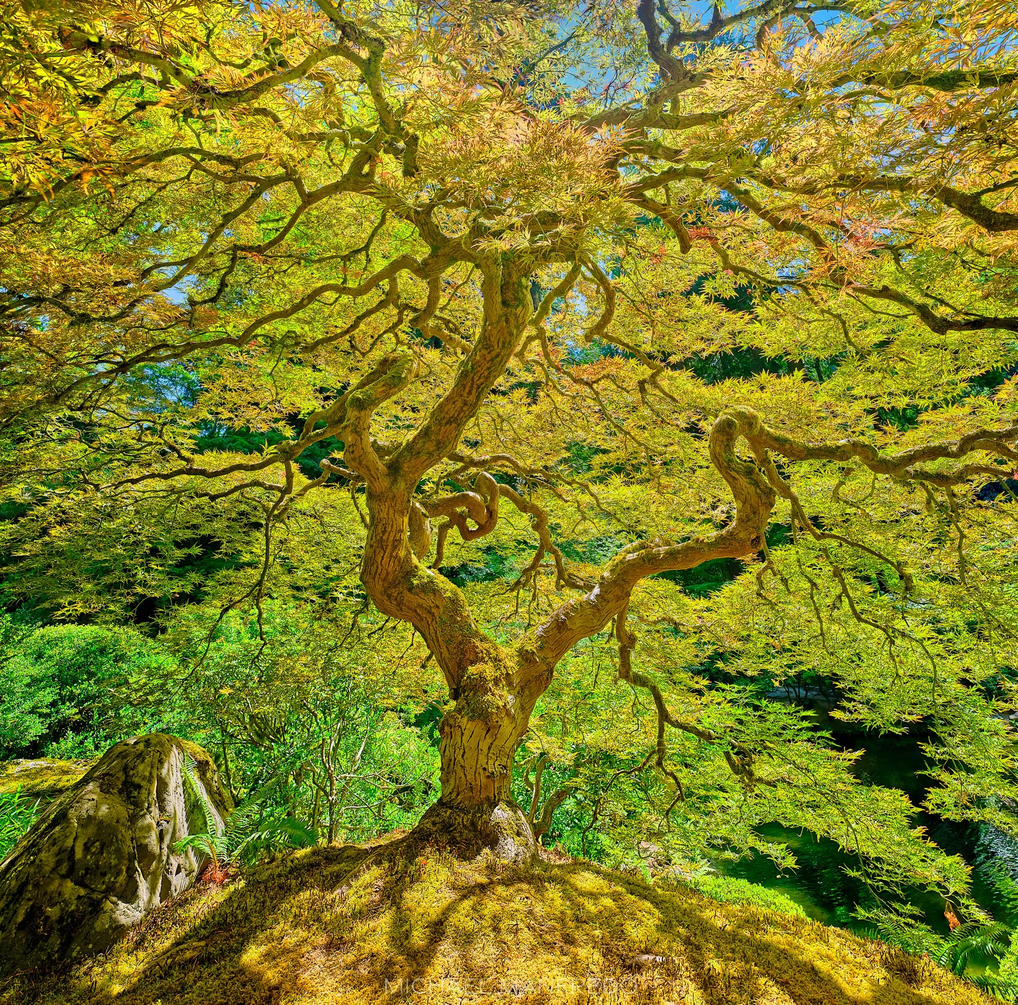 DSCF0878-96pano97-12 CROPstacked.jpg