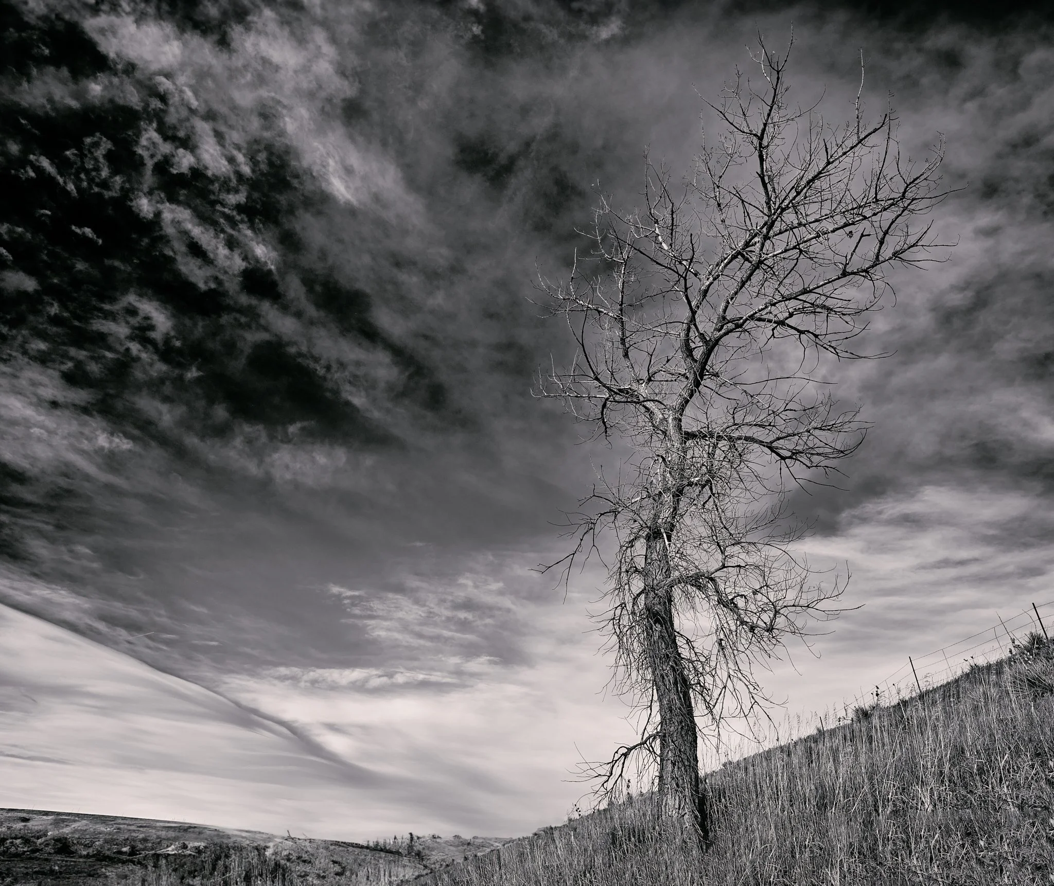 DSCF8830 edit.jpg