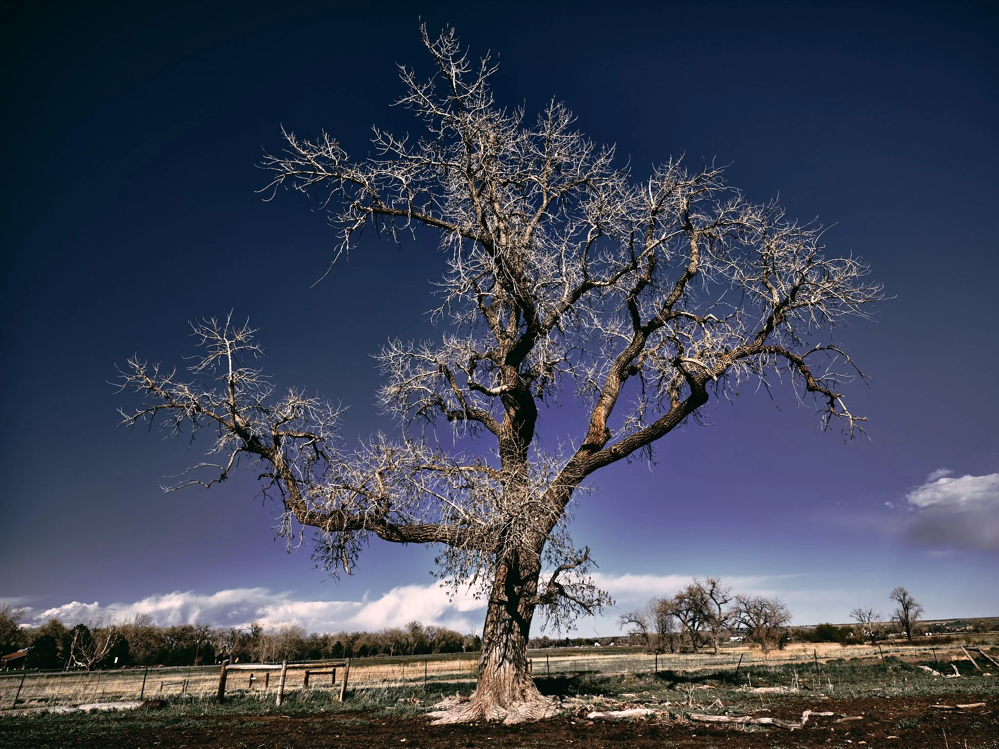 DSCF4147-2.jpg