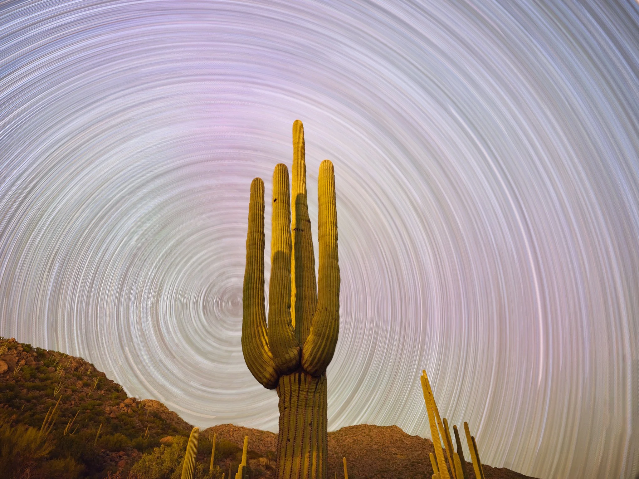 Spirals of Creation