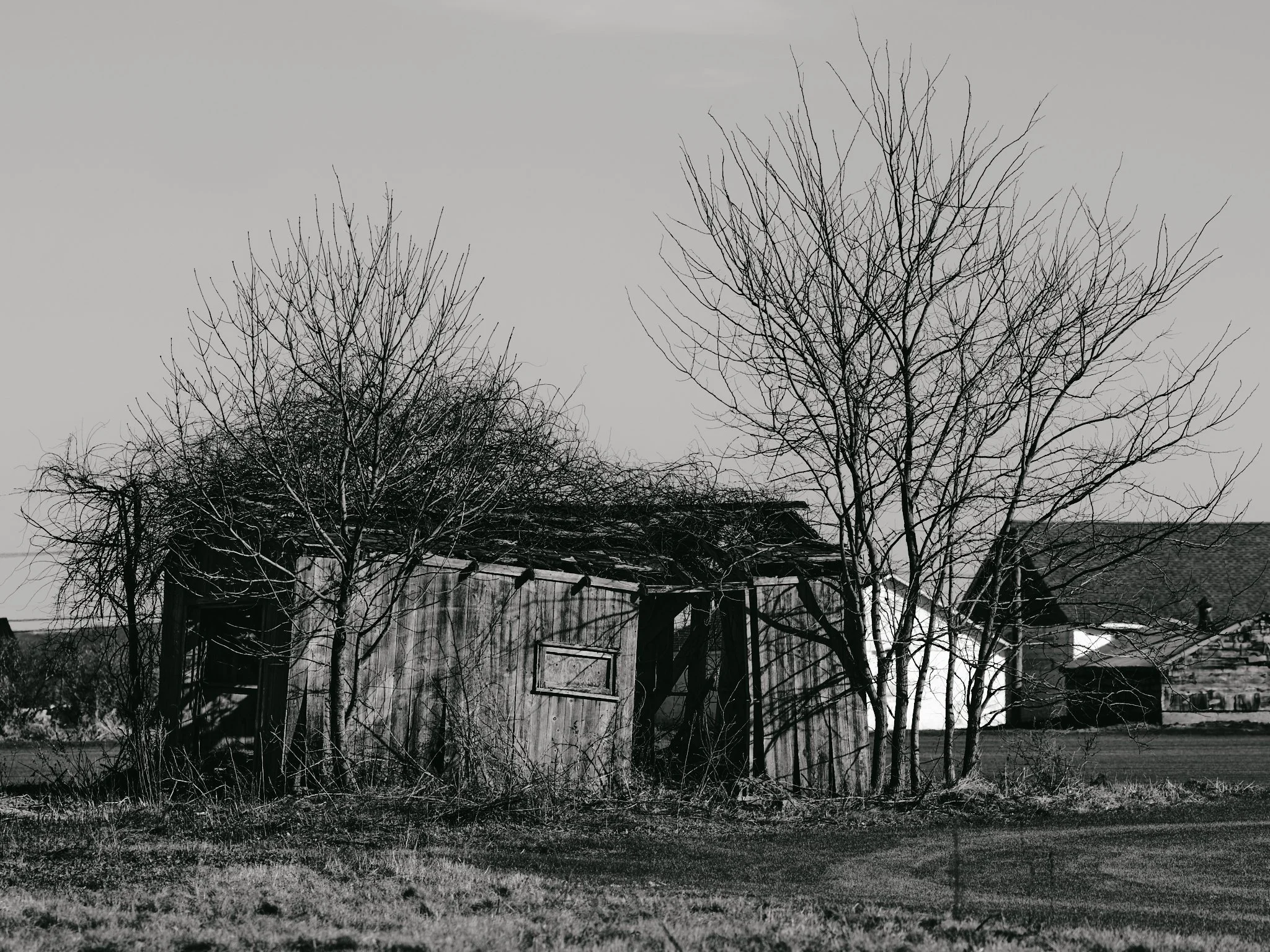 Last Barn Standing