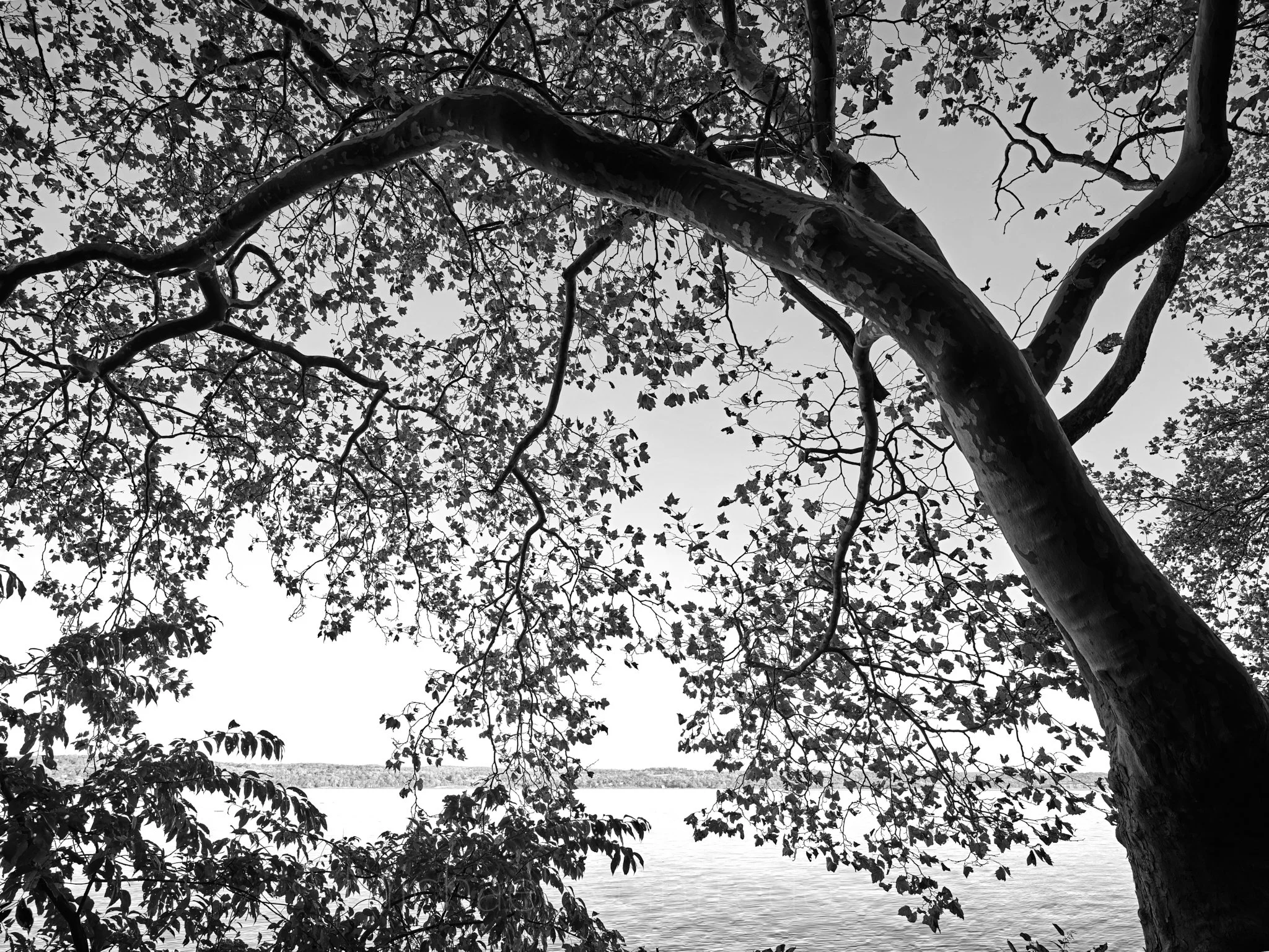 Hudson River Line