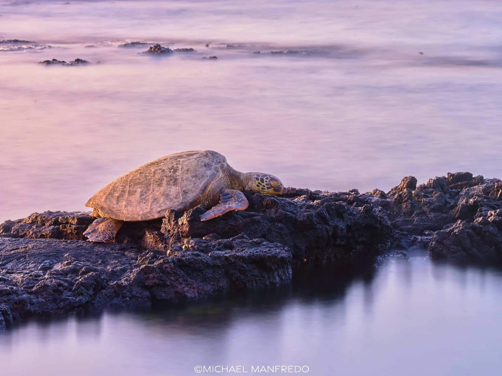 DSCF6328 PS EDIT.jpg